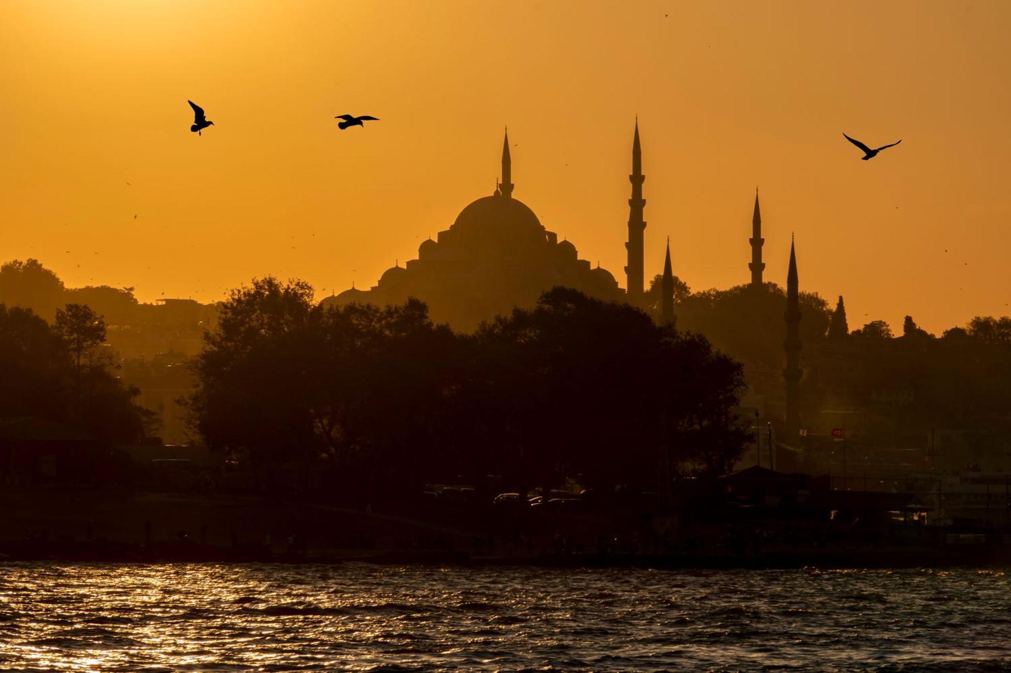 Hotel Tulip & Istanbul