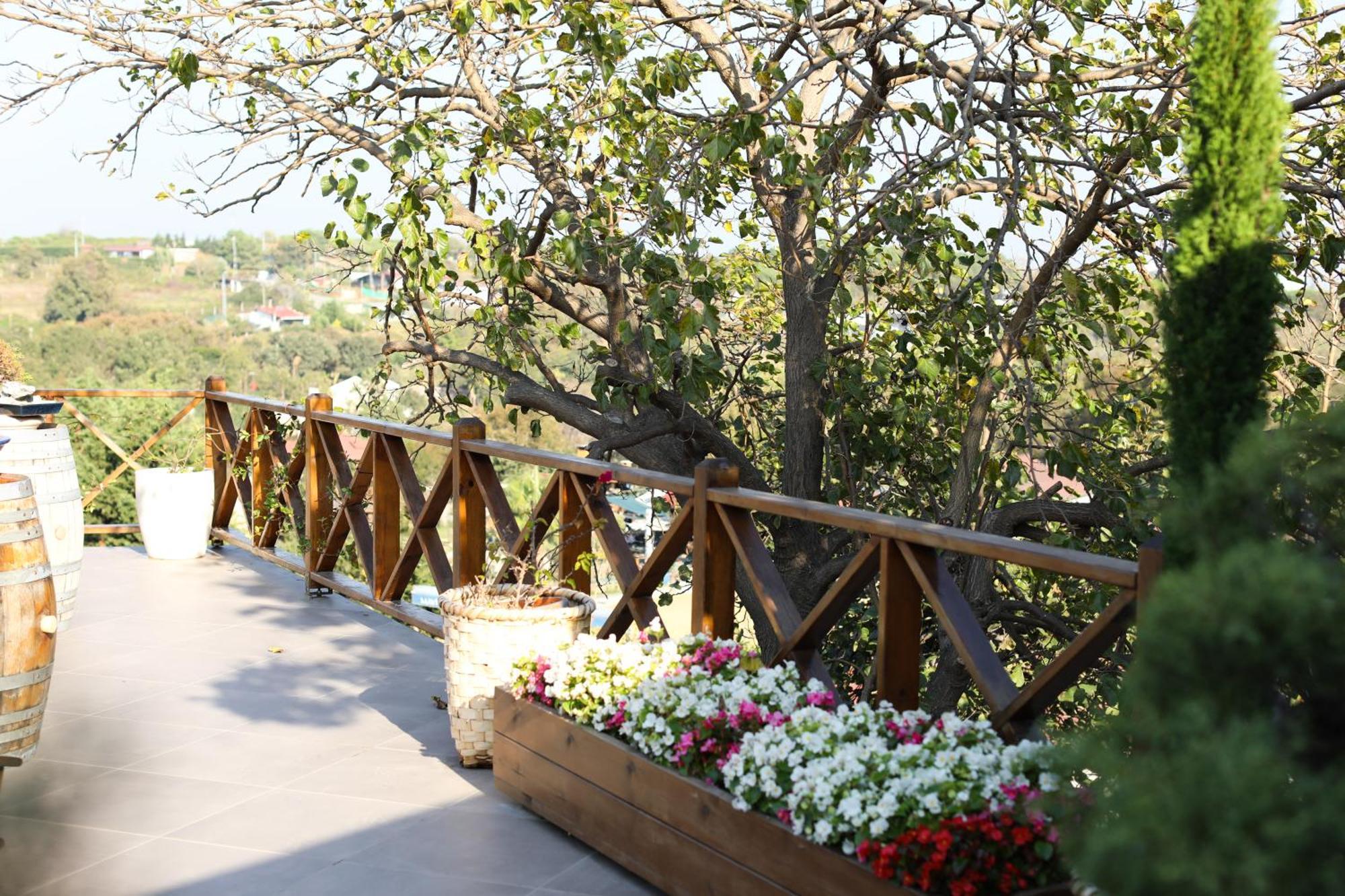 Mavi At Blue Horse Resort