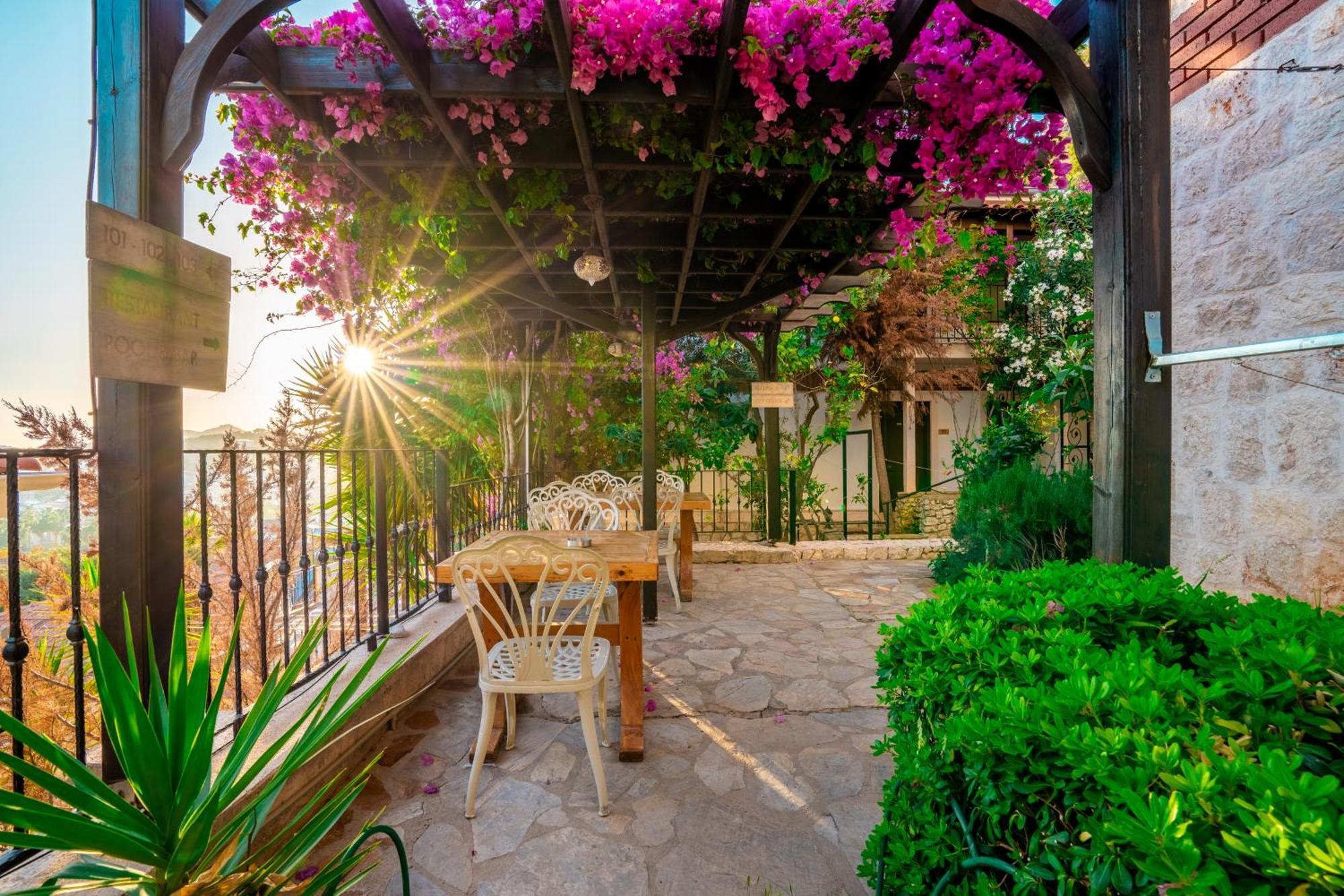 Hotel Luna *