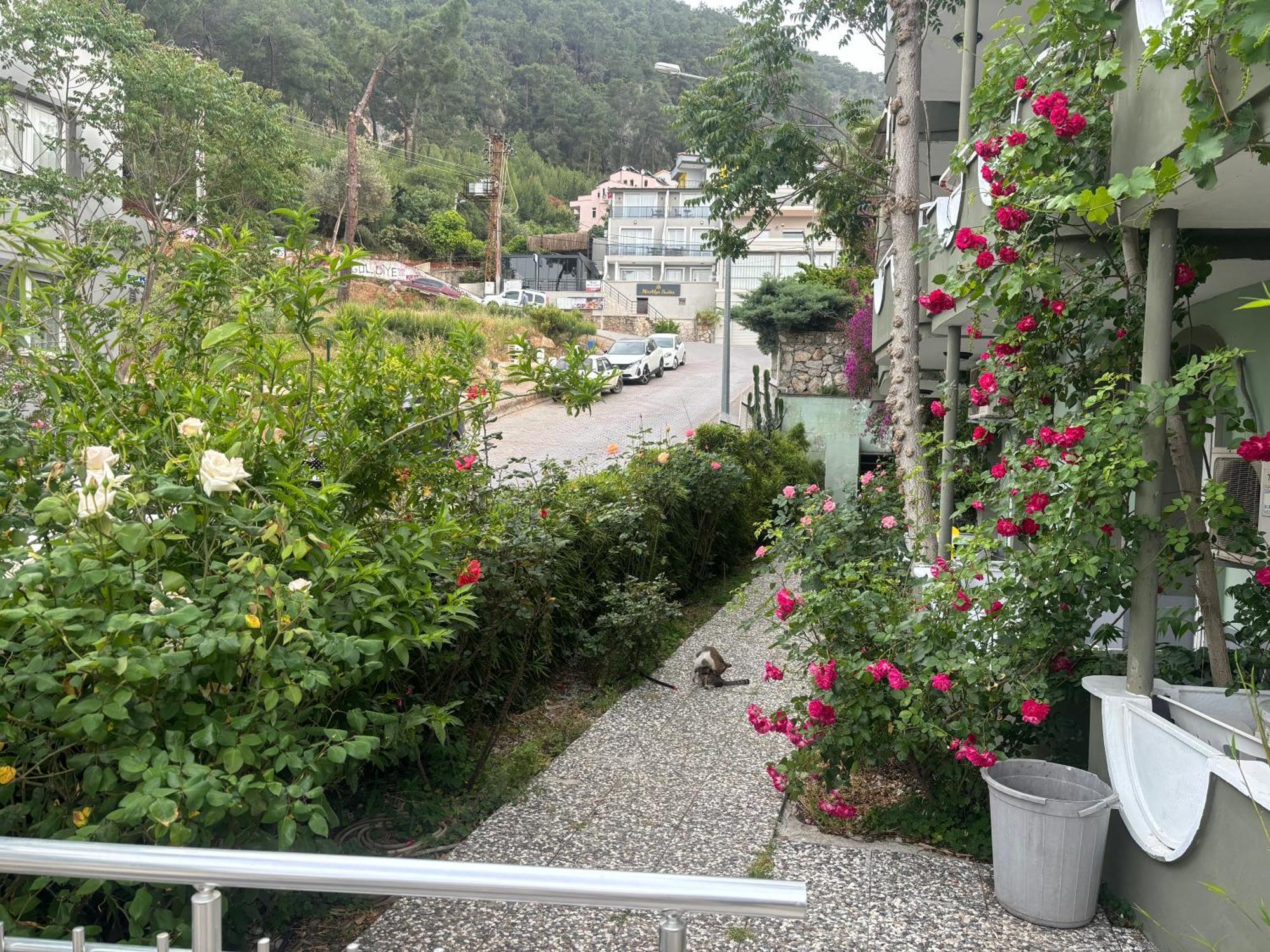 Guest house Ideal Fethiye