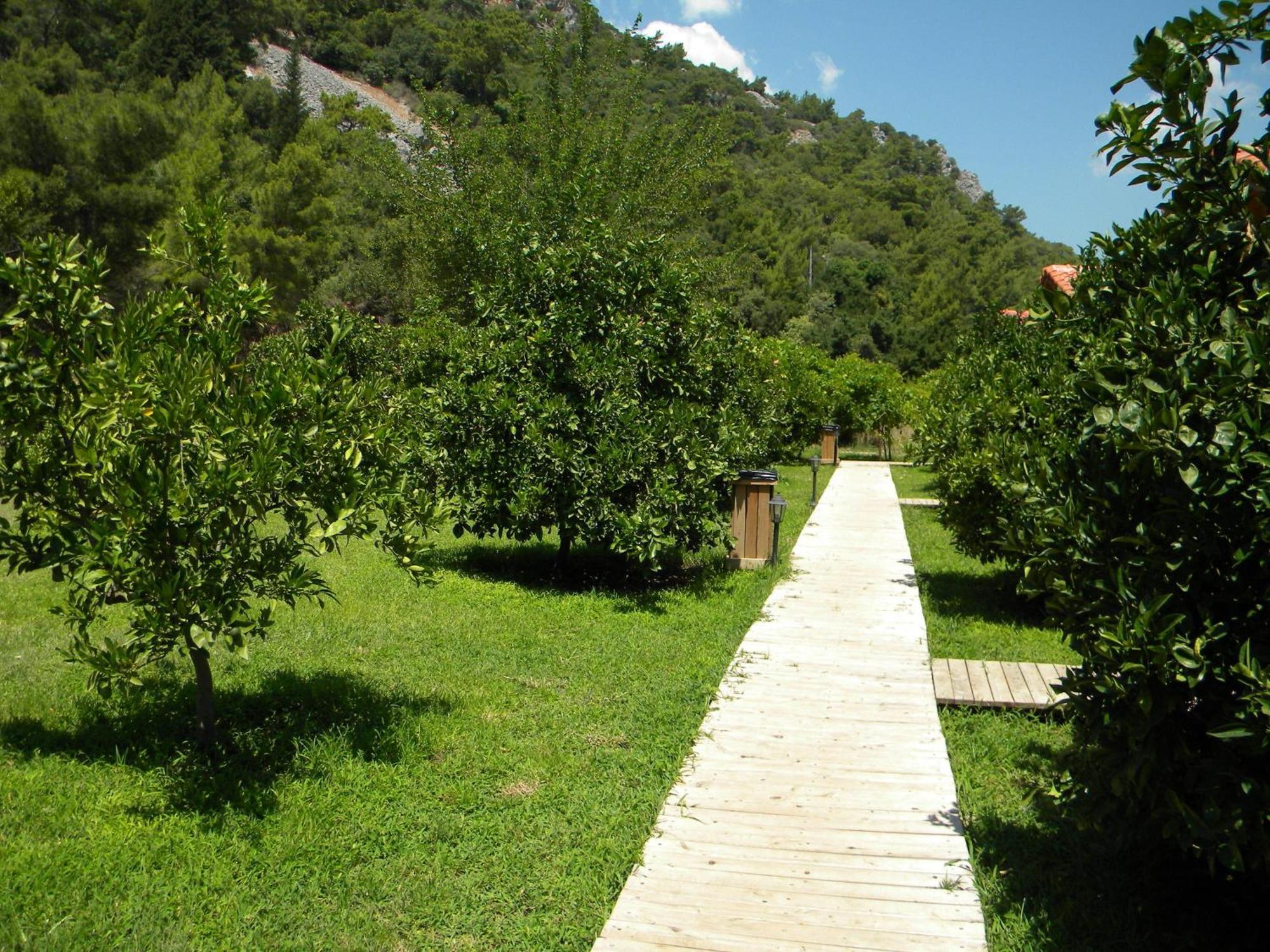 Azra Villa