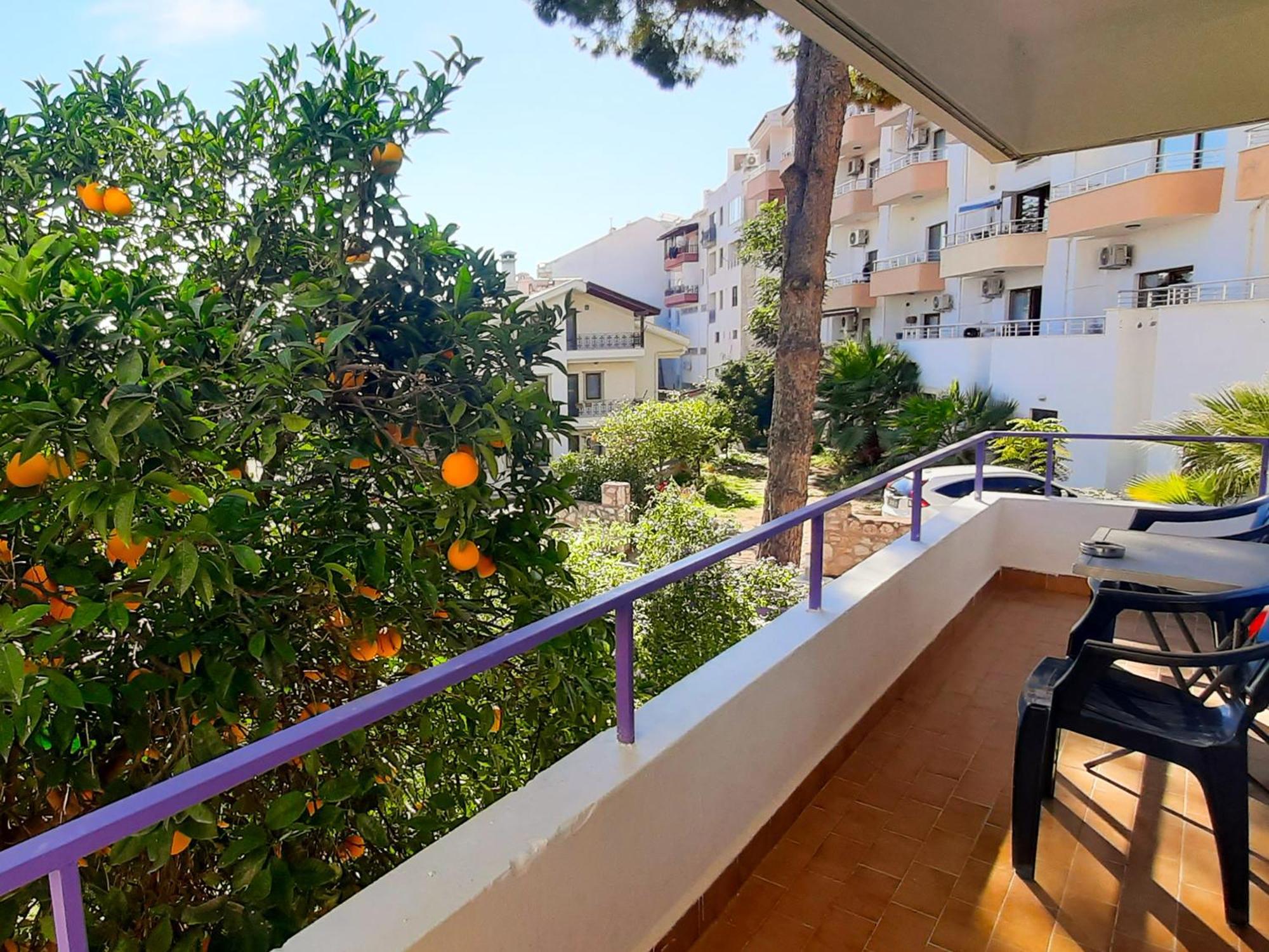 Apartment Ertem *