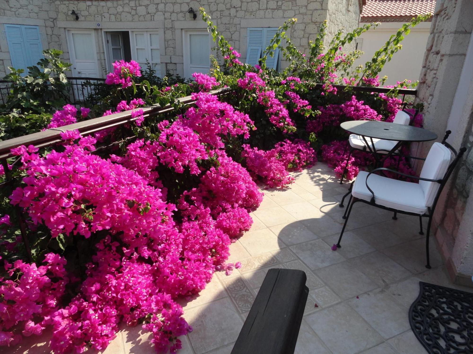 Incirliev - Special Category Alacati