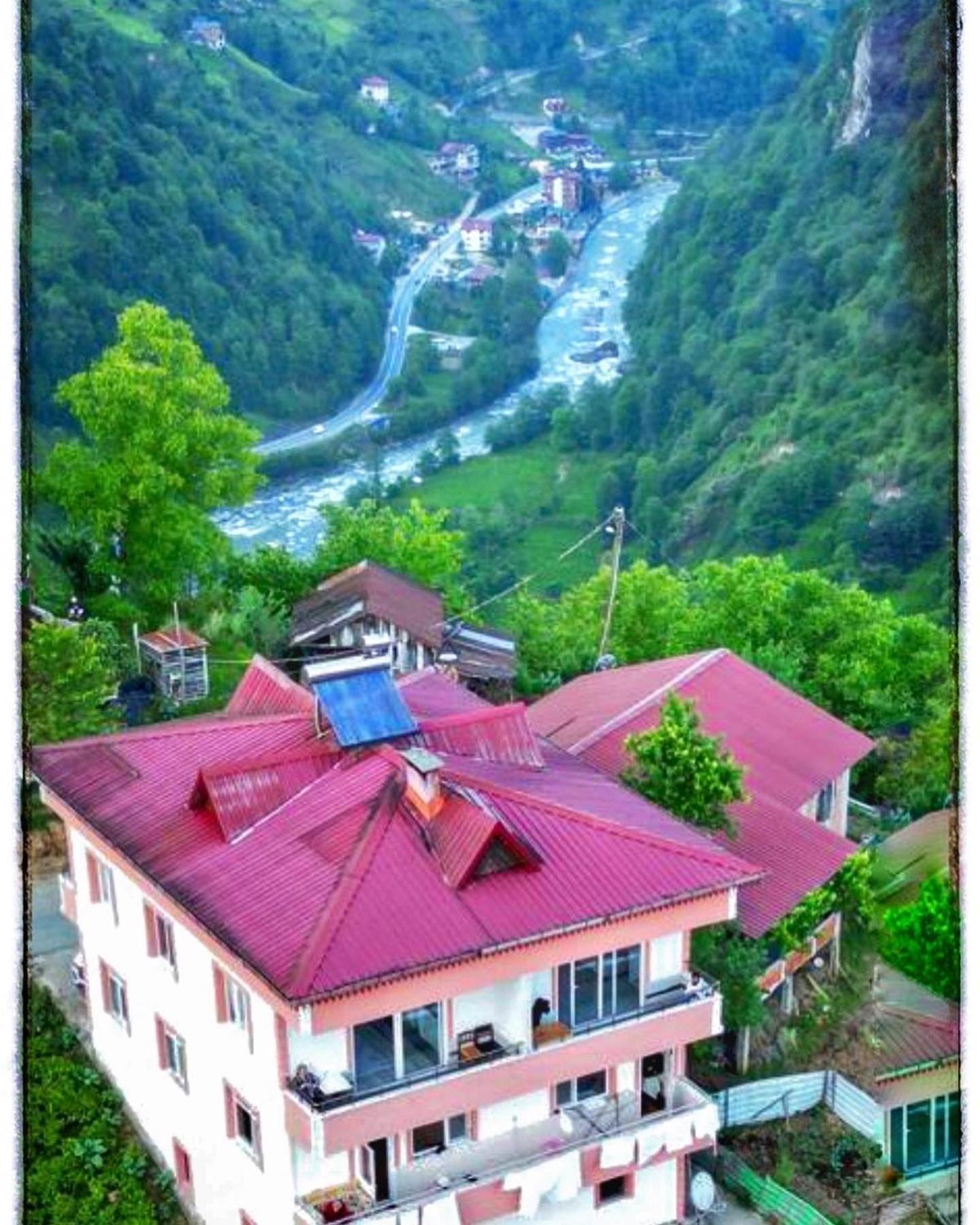 Dereli Delux Apartment Rize