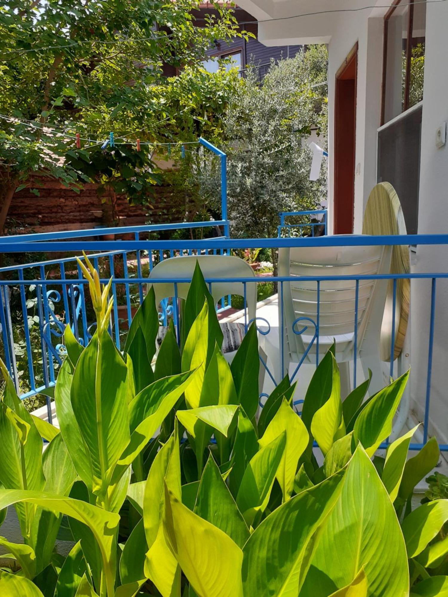 Sunset Boutique & Guest house