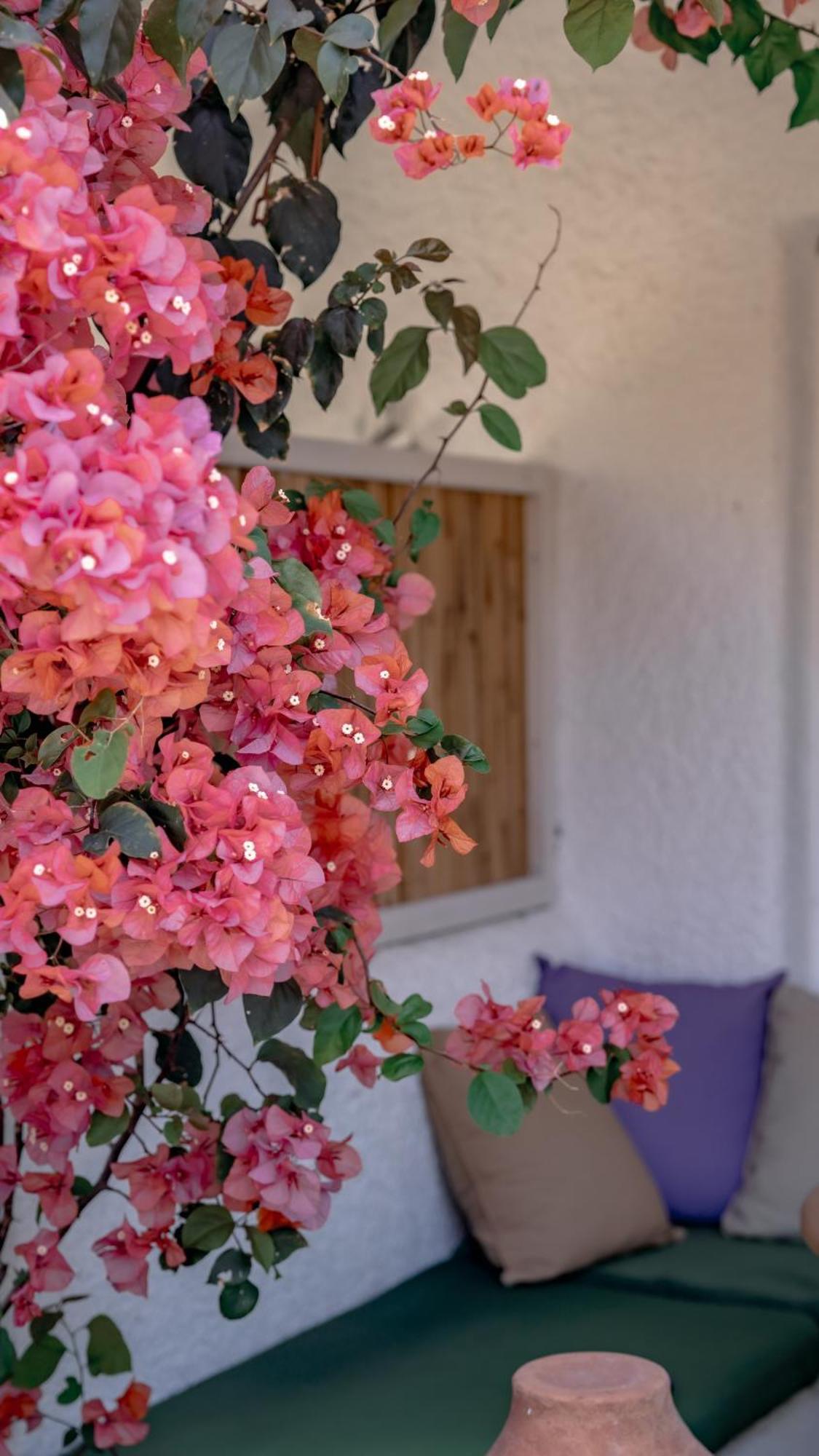 Hotel Kefi &