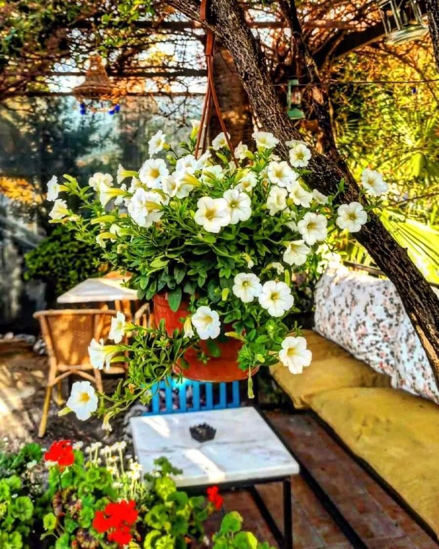 Aparthotel Isil Dalyan