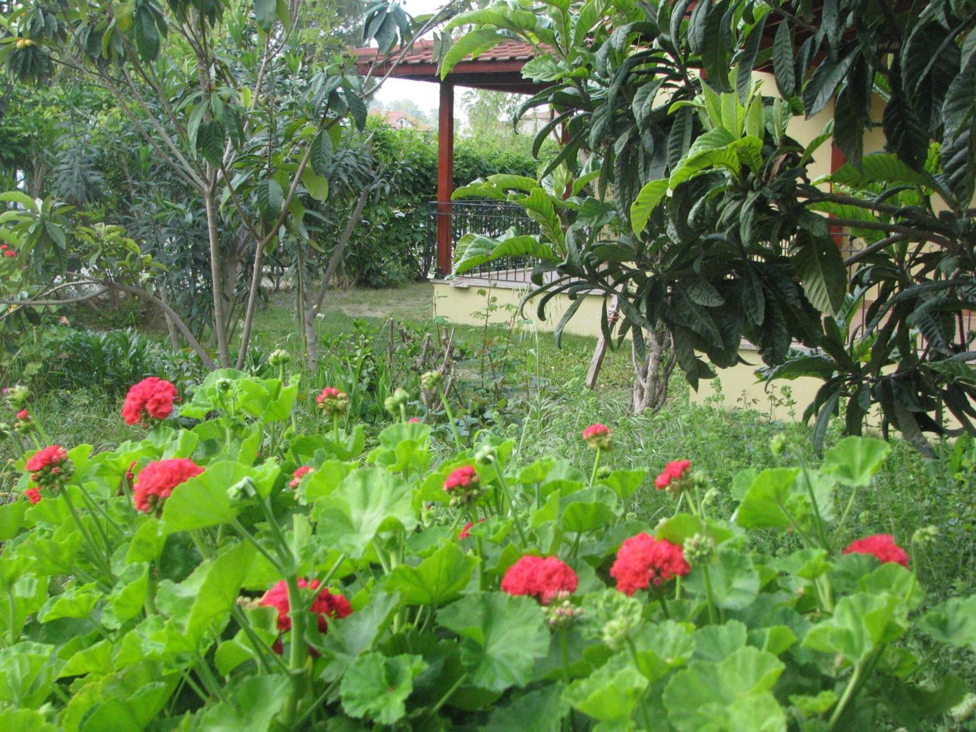 Guest house Alize