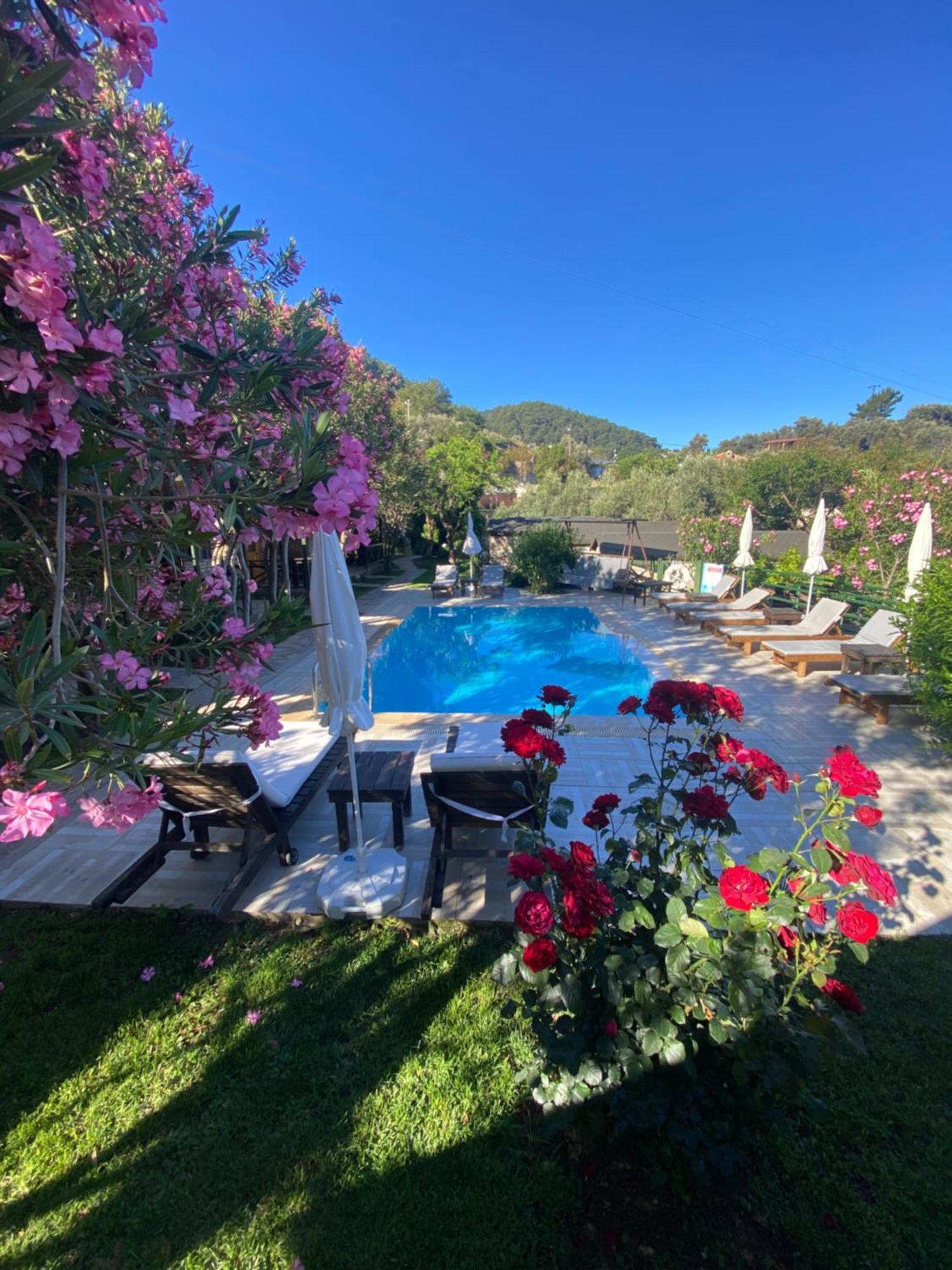 Montenegro Hotel