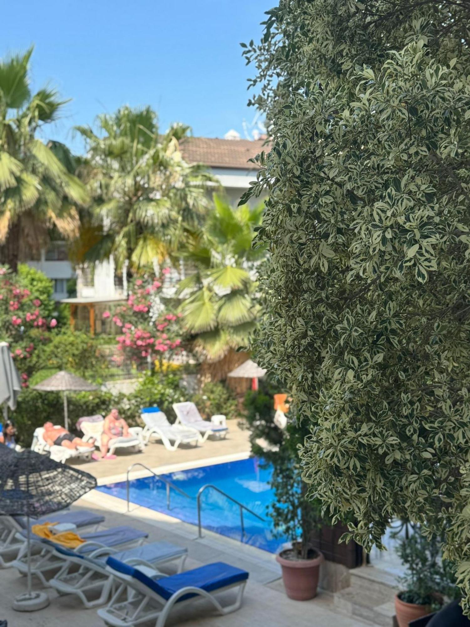 Hotel Navy 3*