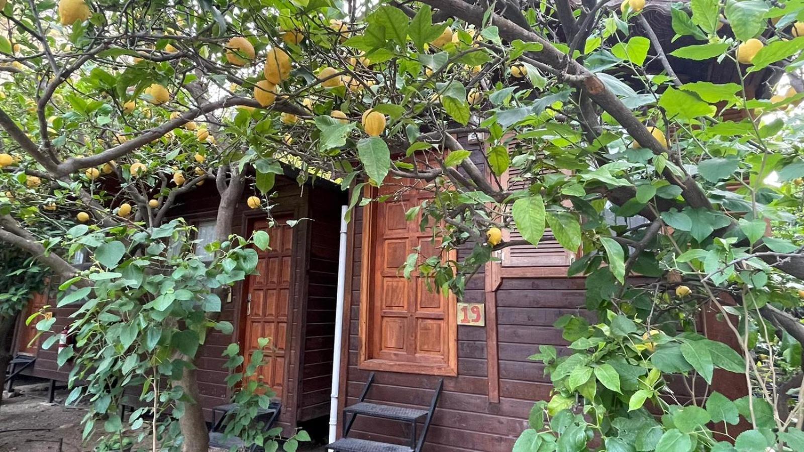 Varuna & Restaurant Guest house Olympos