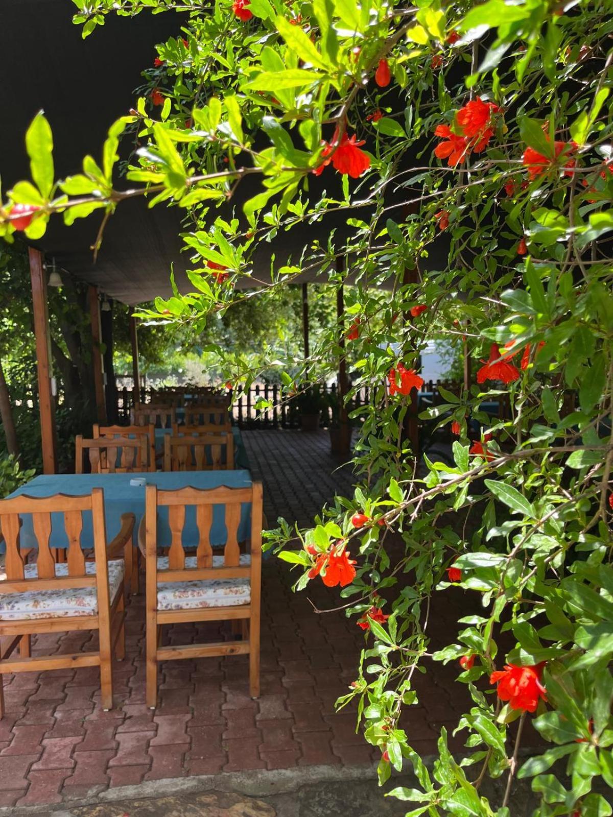 Hotel Olympos Yavuz *