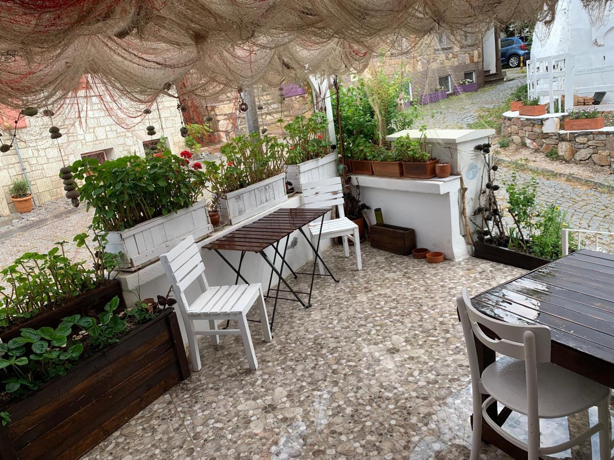 Homestay Vapori