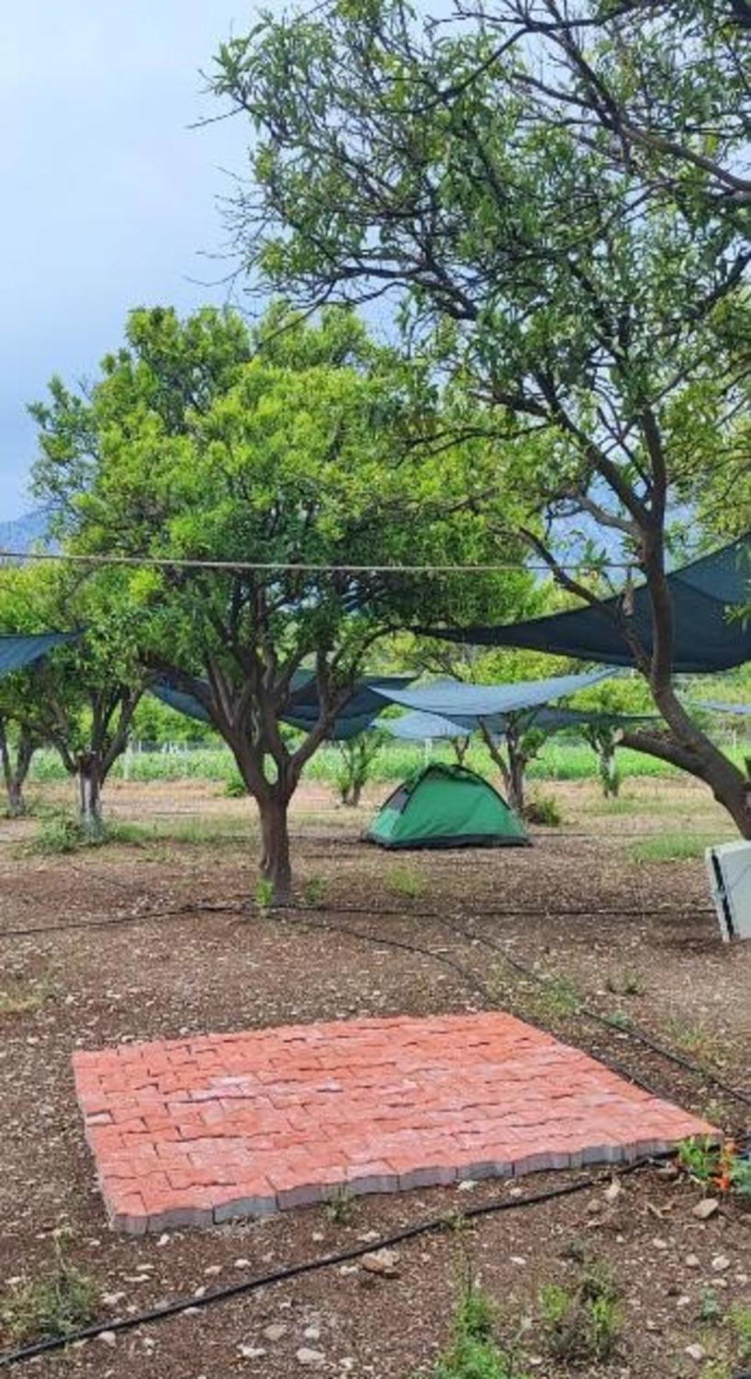 Orange Camp 3* Beldibi (Kemer)