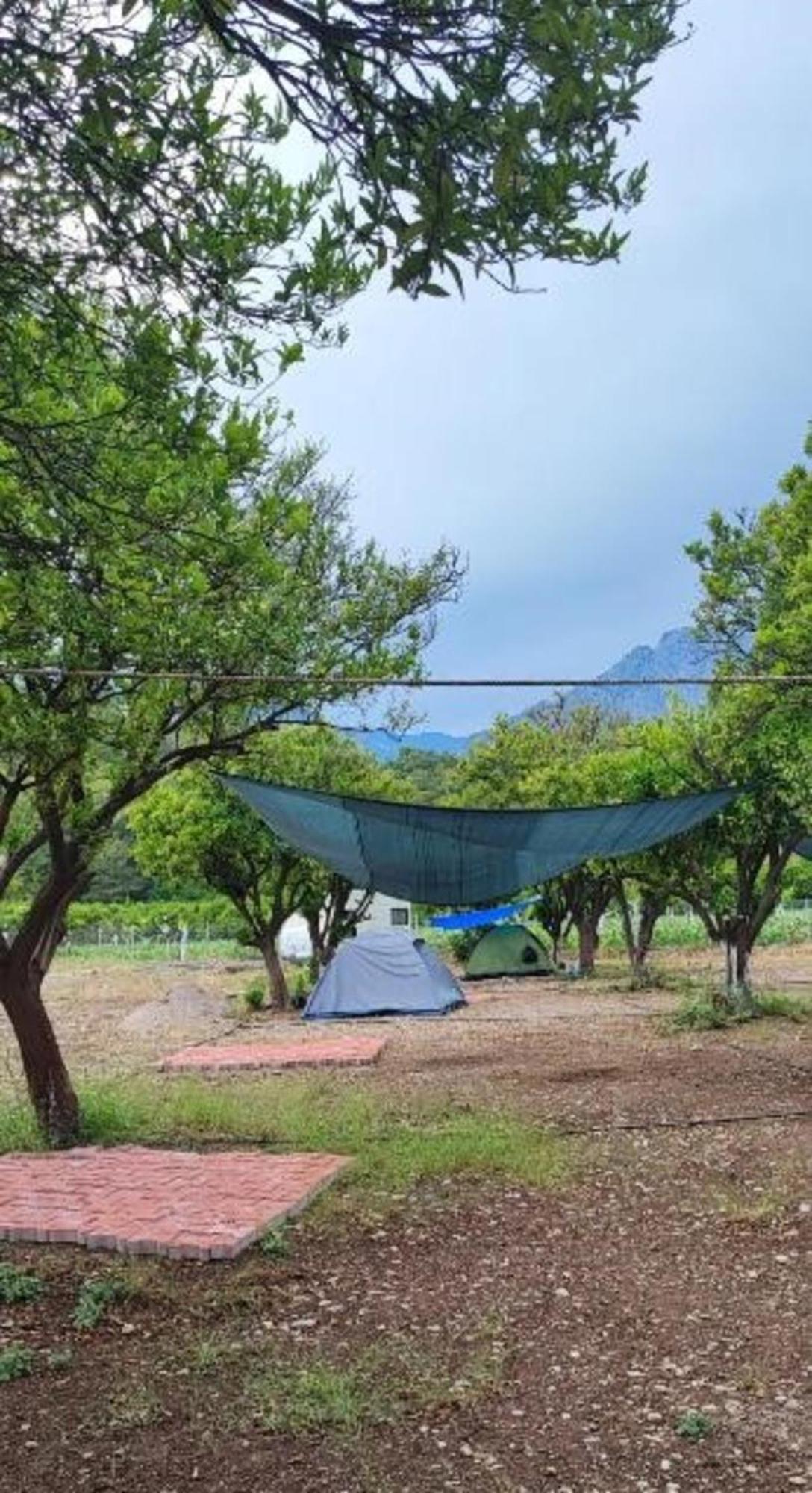 Orange Camp Campsite