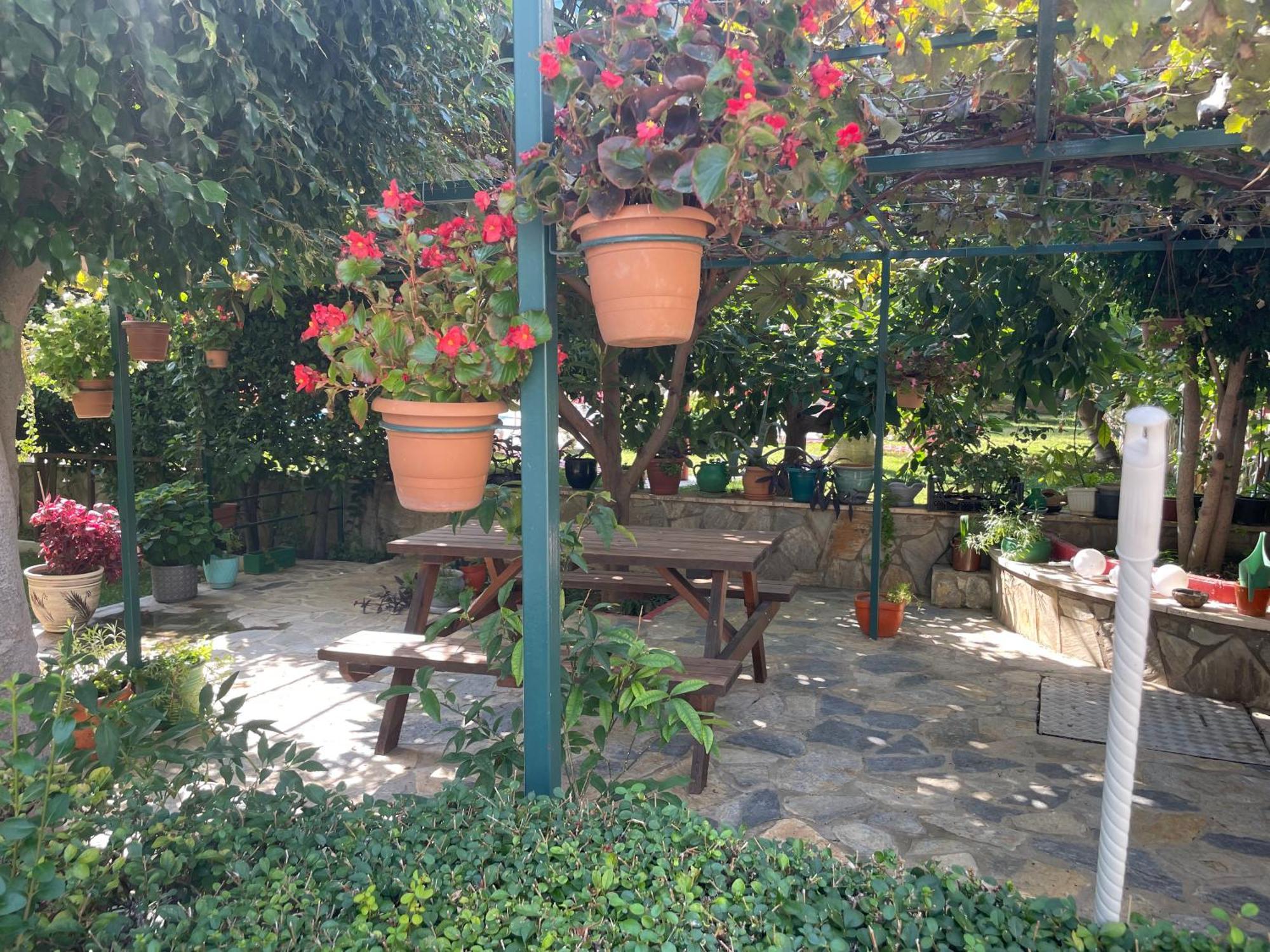 Gold Sun Apartment Mahmutlar