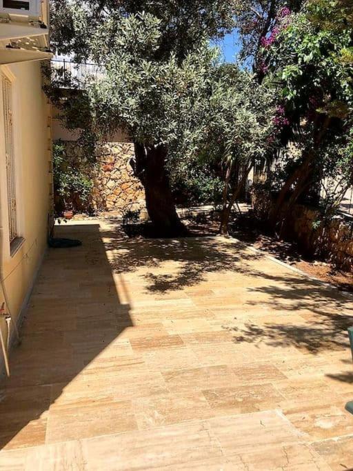 Caretta Kalkan