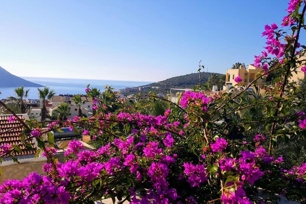 Villa Caretta Kalkan