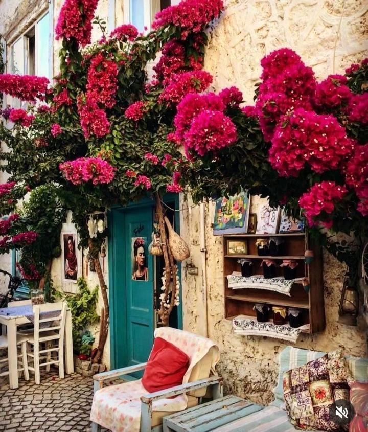 Hotel Alacati Frida *