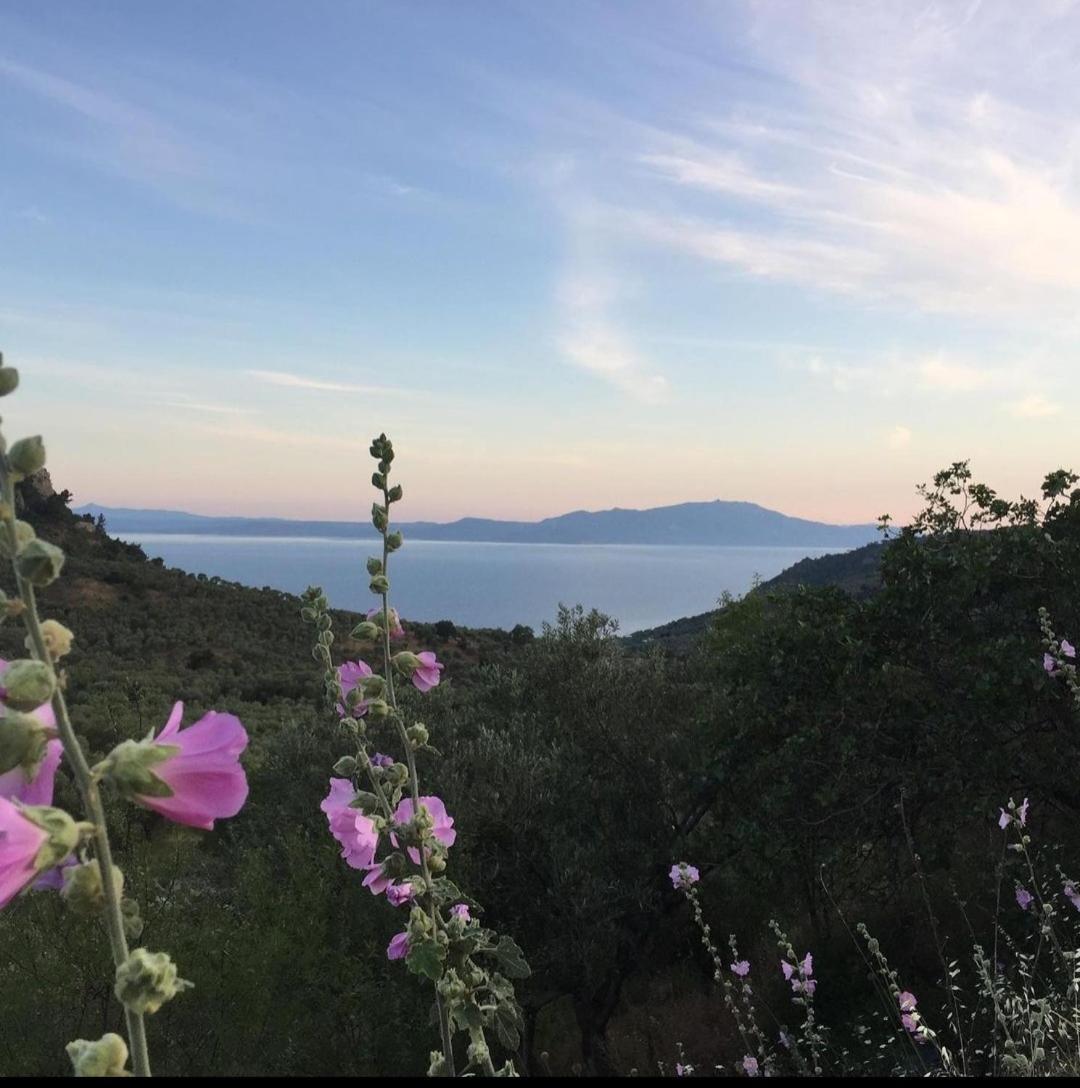 Qekik Boutique Kazdaglari * Arikli