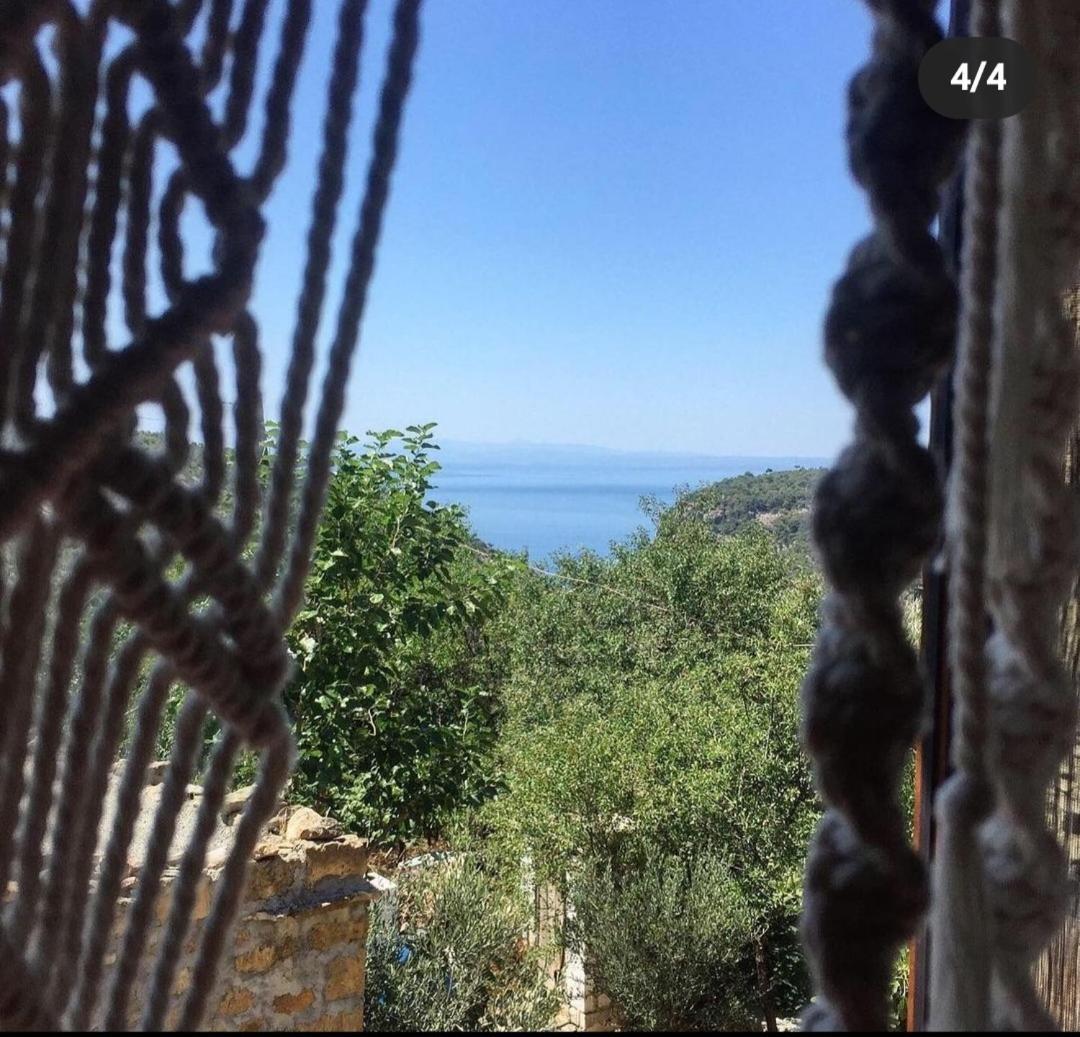 Qekik Boutique Kazdaglari