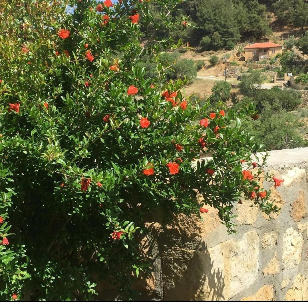 Hotel Qekik Boutique Kazdaglari Arikli