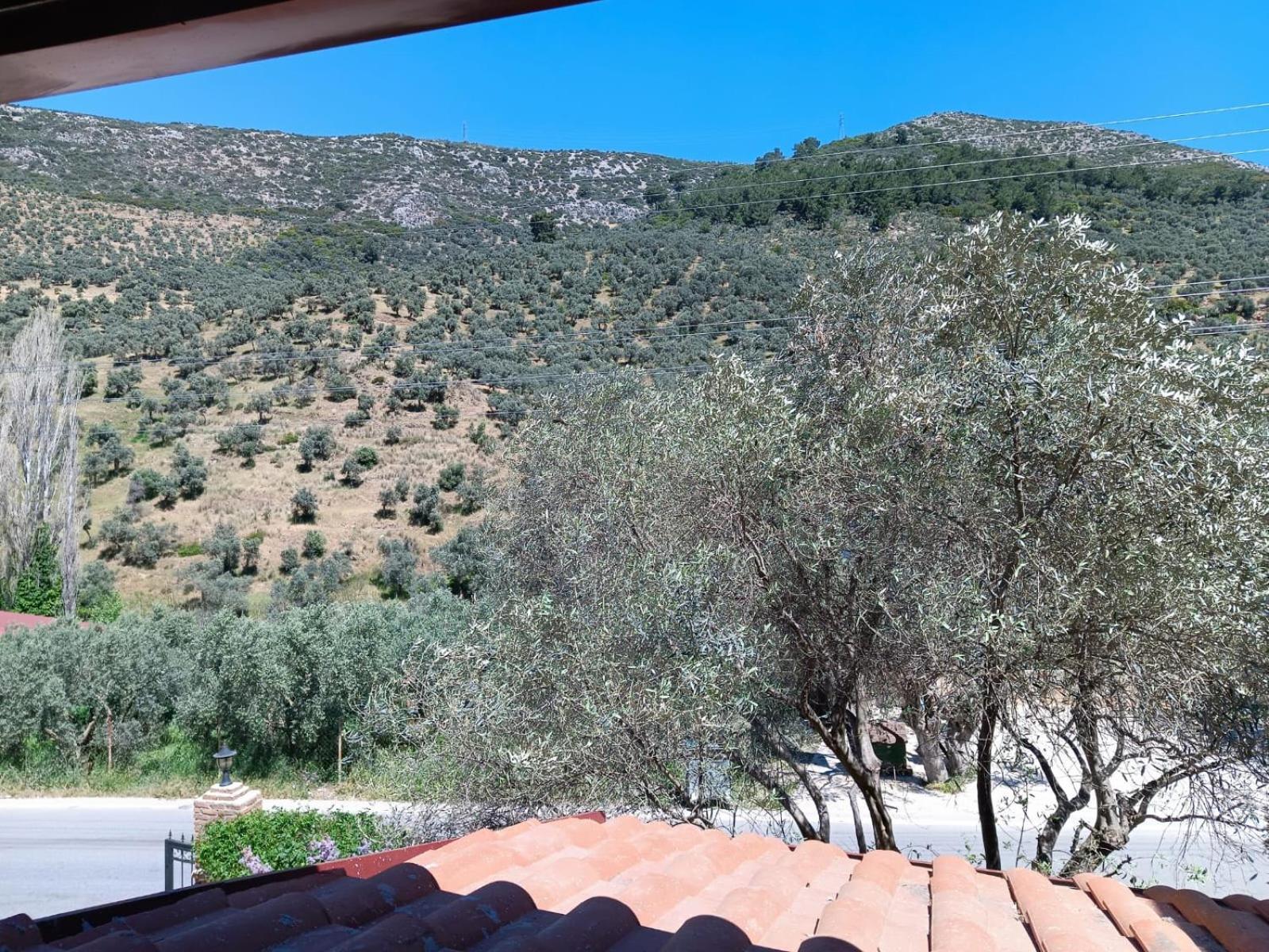 Sirince Klaseas Hotel&restaurant 3* Selcuk