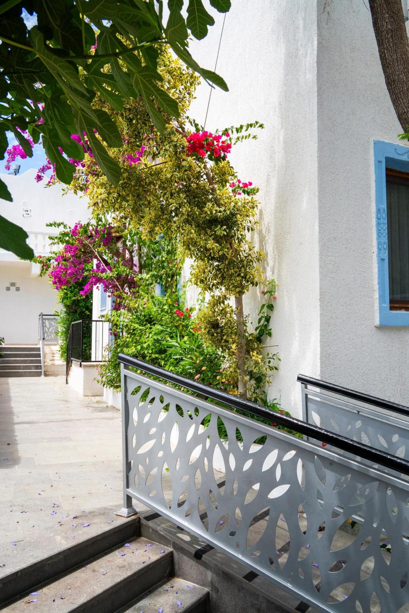 Hotel Manuela Boutique 3*