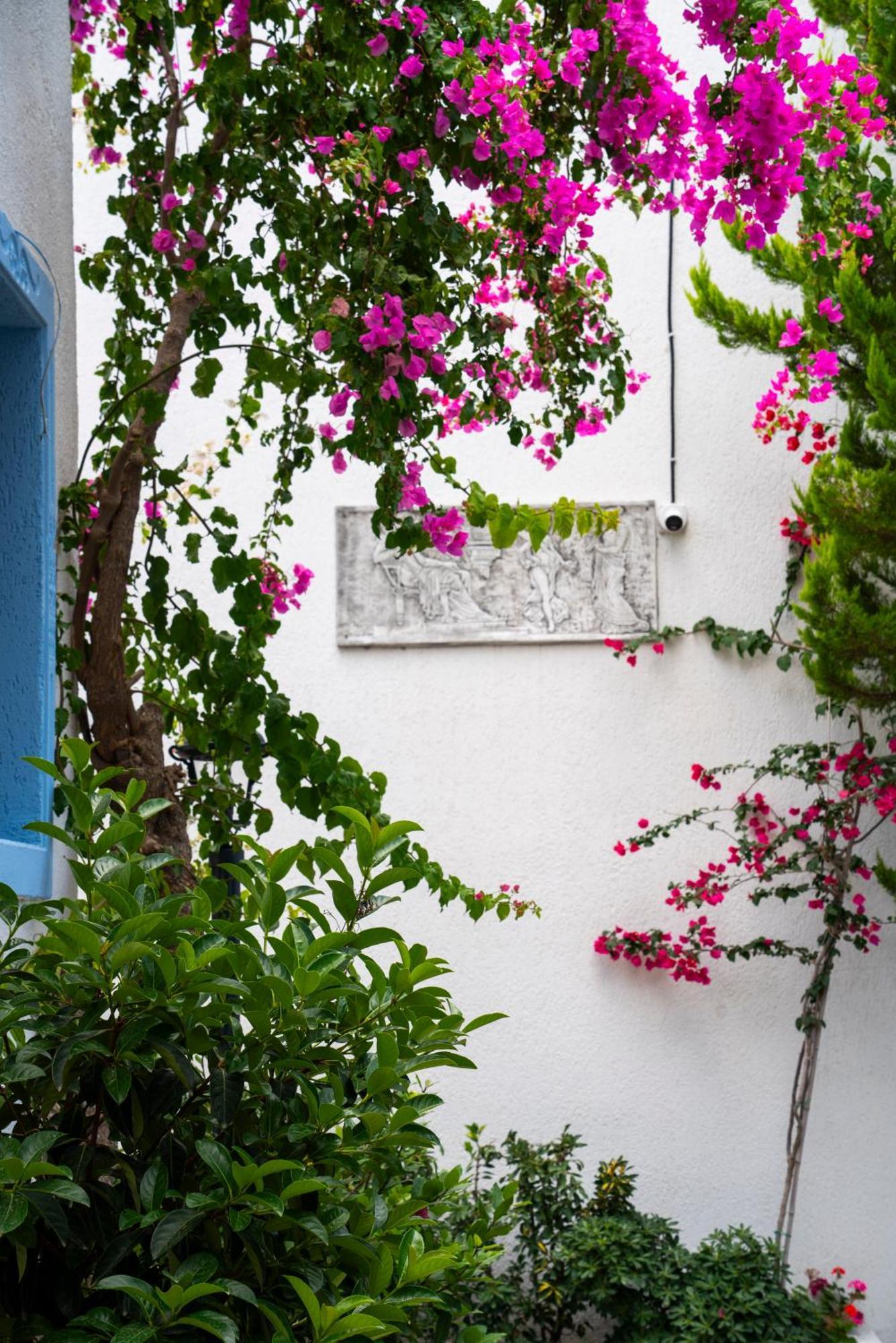 Hotel Manuela Boutique