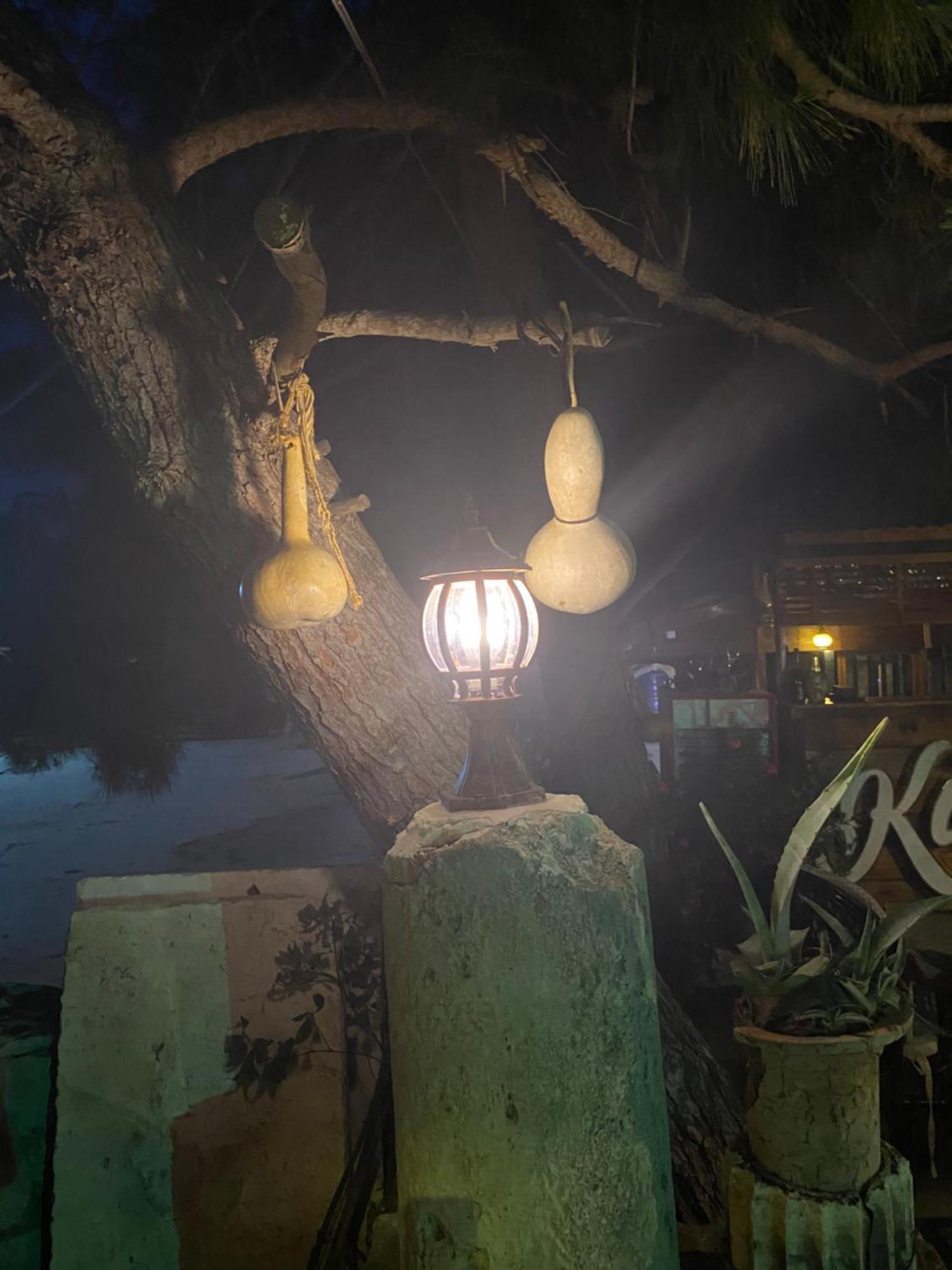 Medusa House Butik Didim
