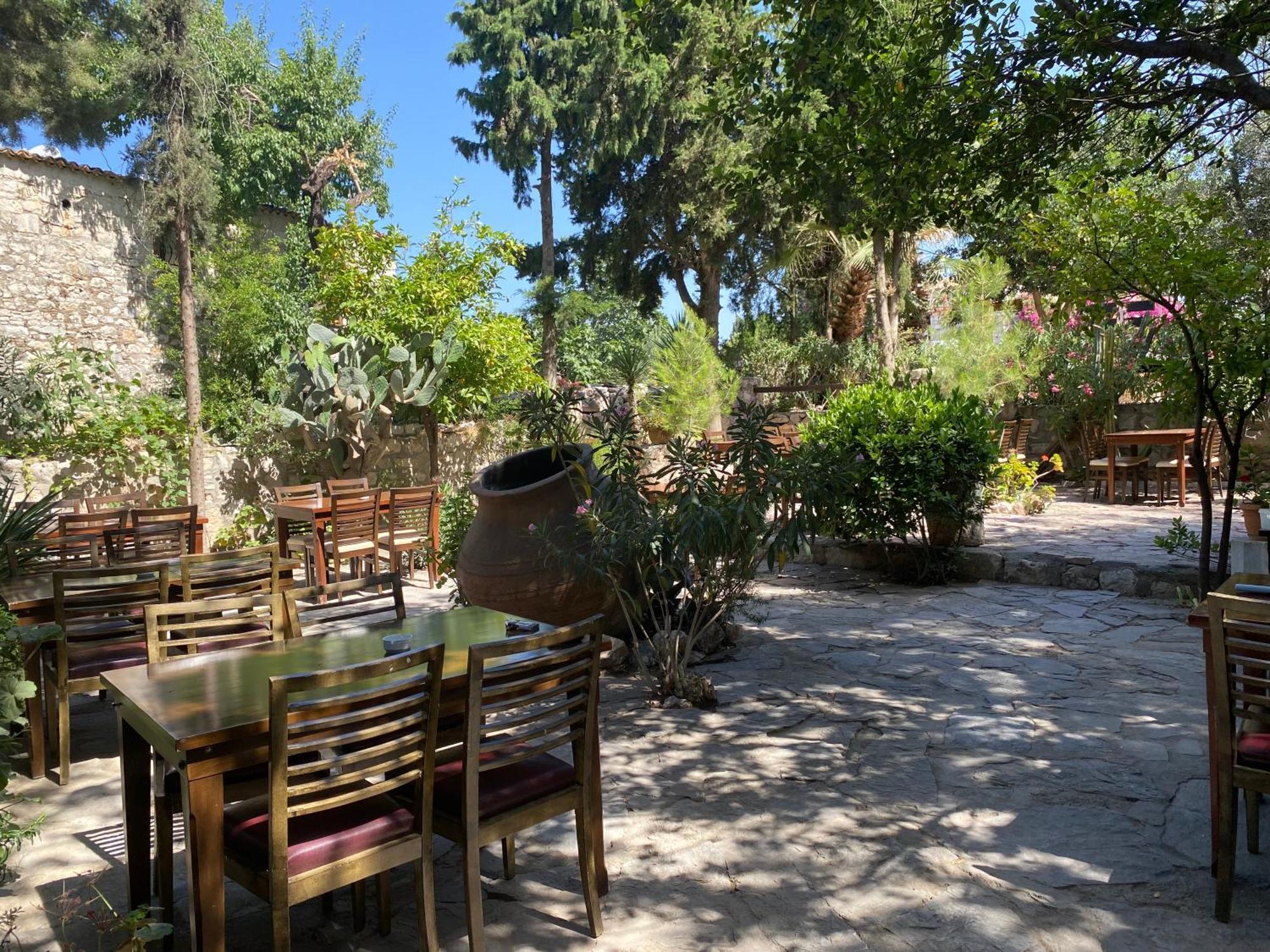 Medusa House Butik Guest house Didim