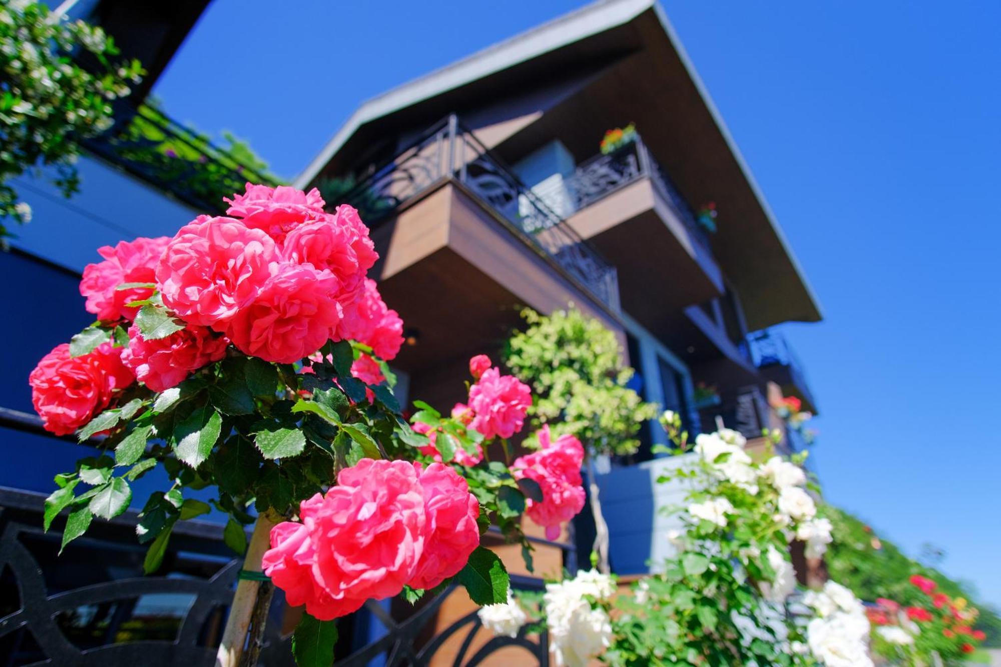 Hotel Peerless Trabzon
