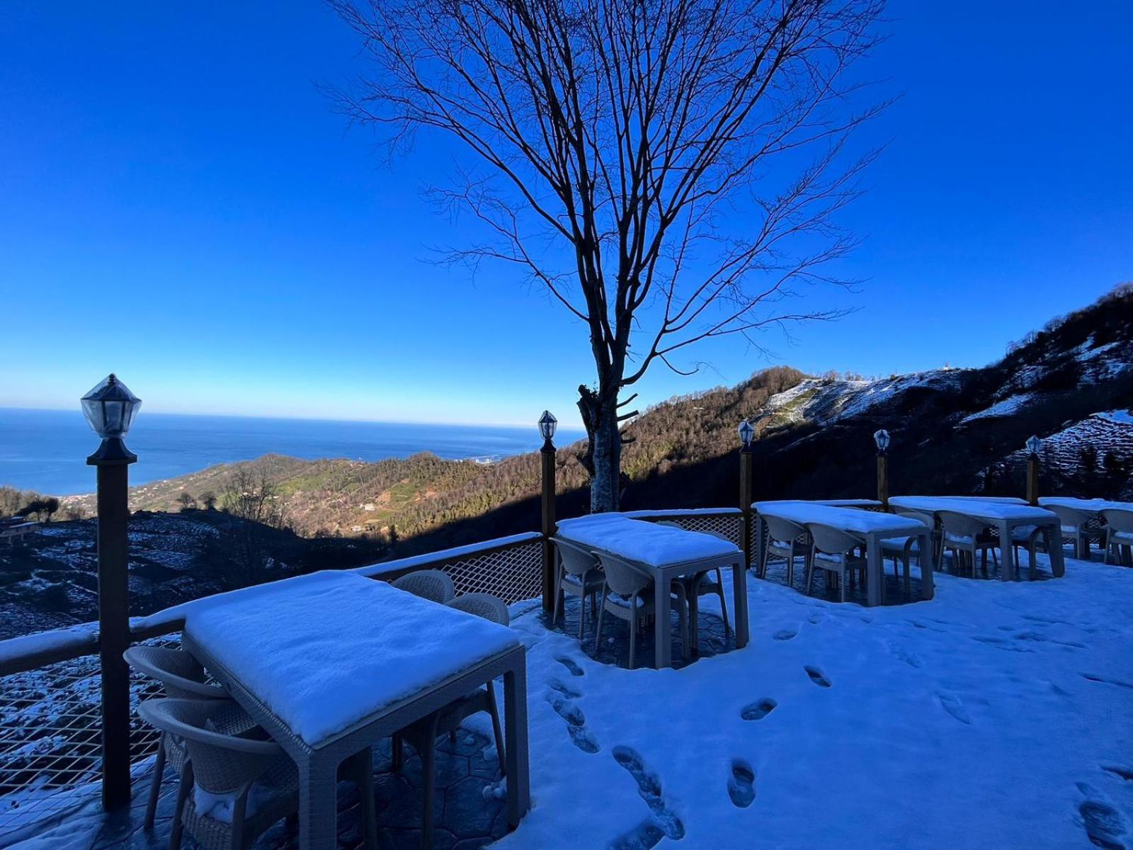 Pagen Resort *