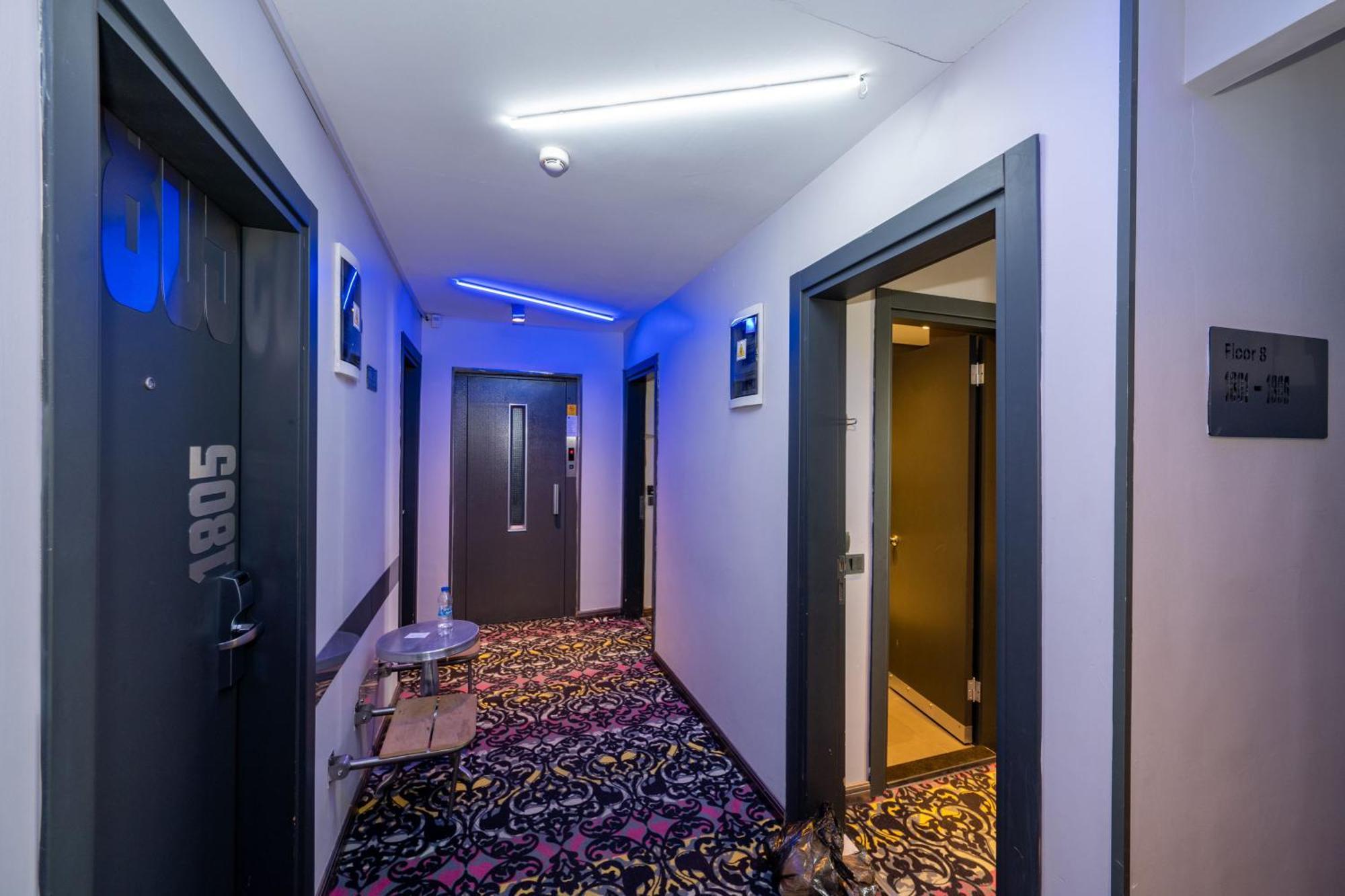 Tulip & Hotel 4*