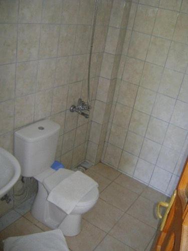 Guest house Cesur Pansiyon 2*
