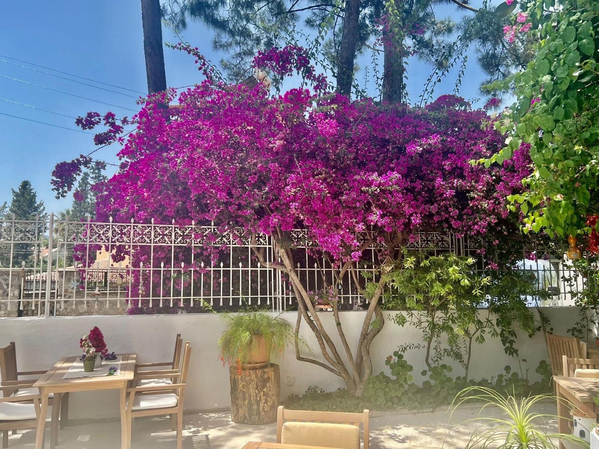 Hotel Carikci Marmaris