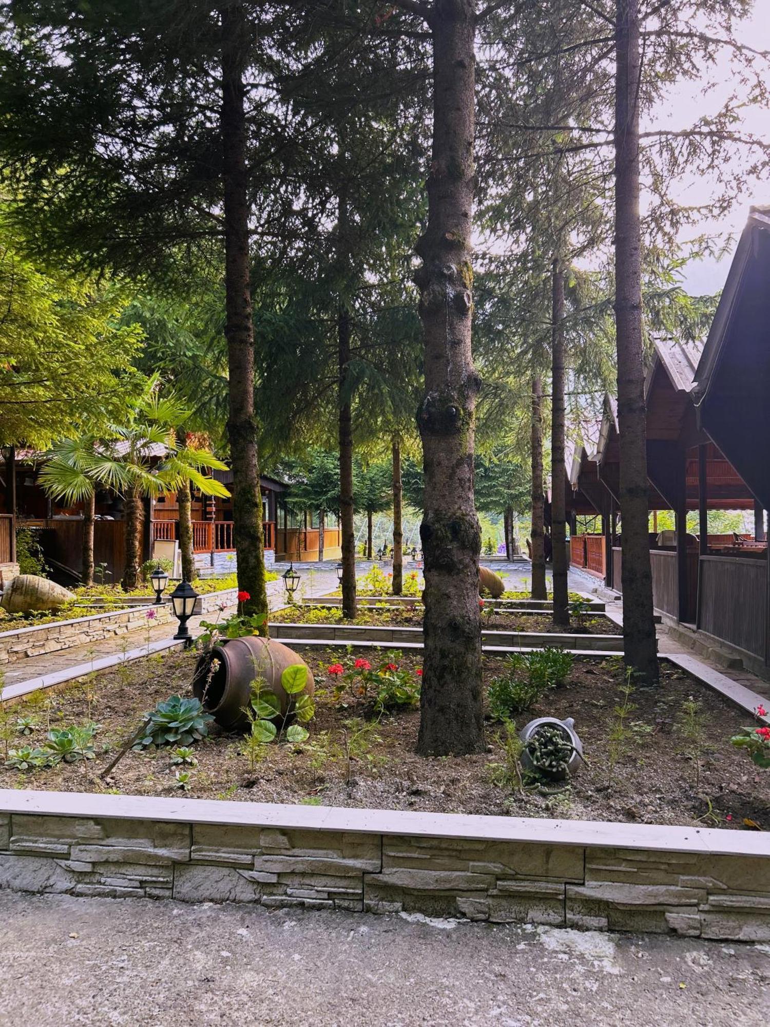 Homestay Isikli Kale
