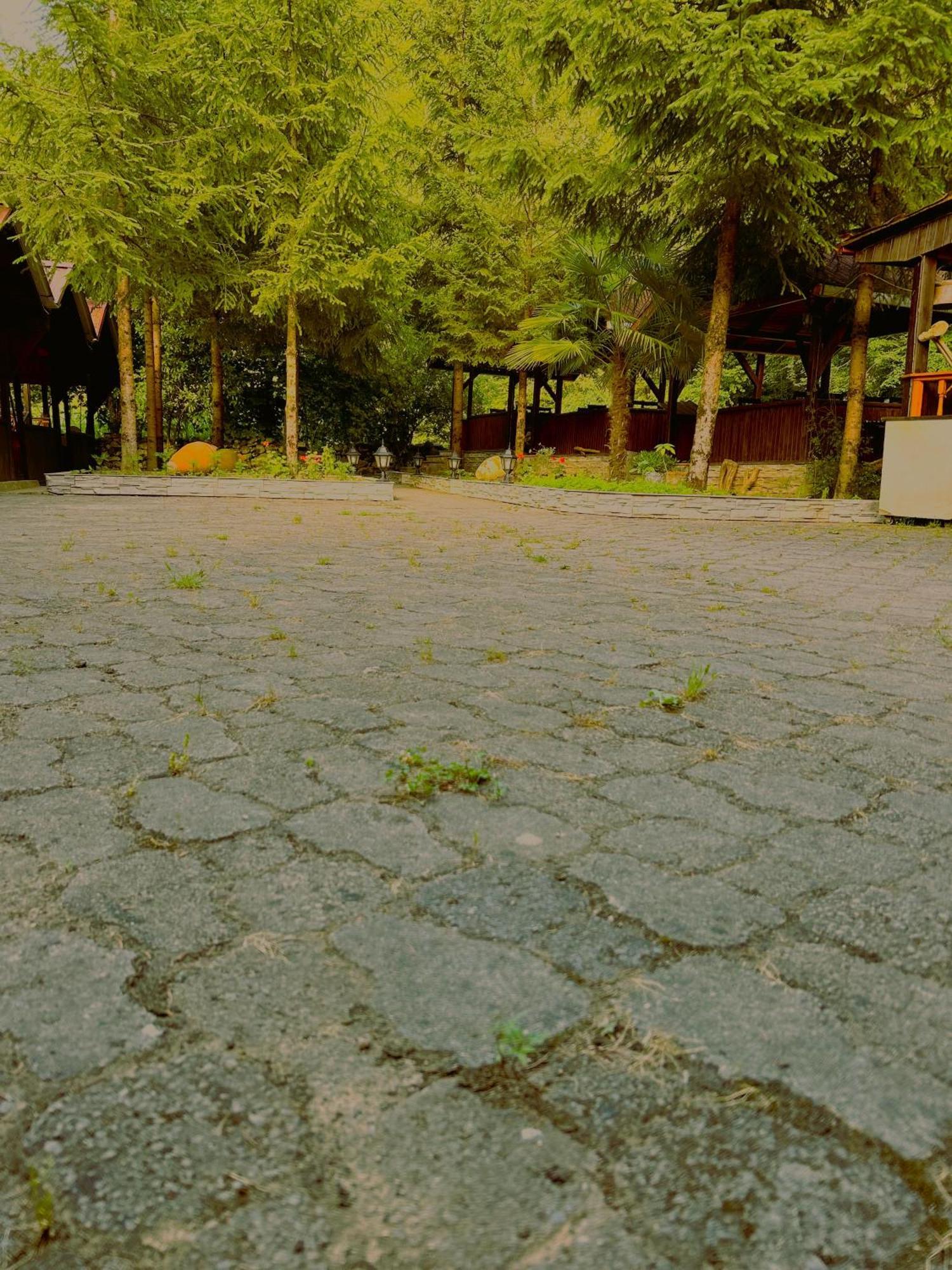 Homestay Isikli Kale *