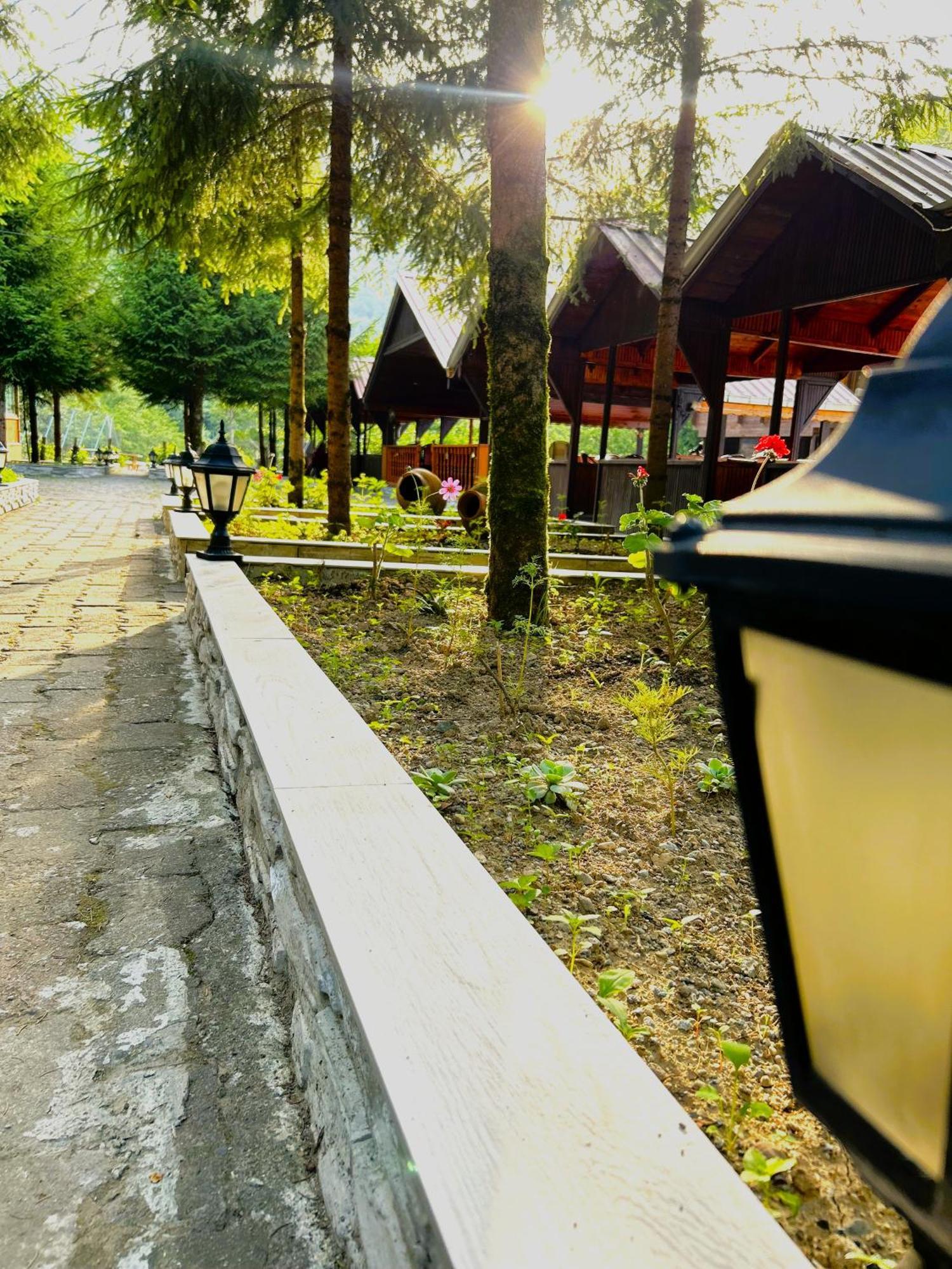 Isikli Kale Homestay Caykara