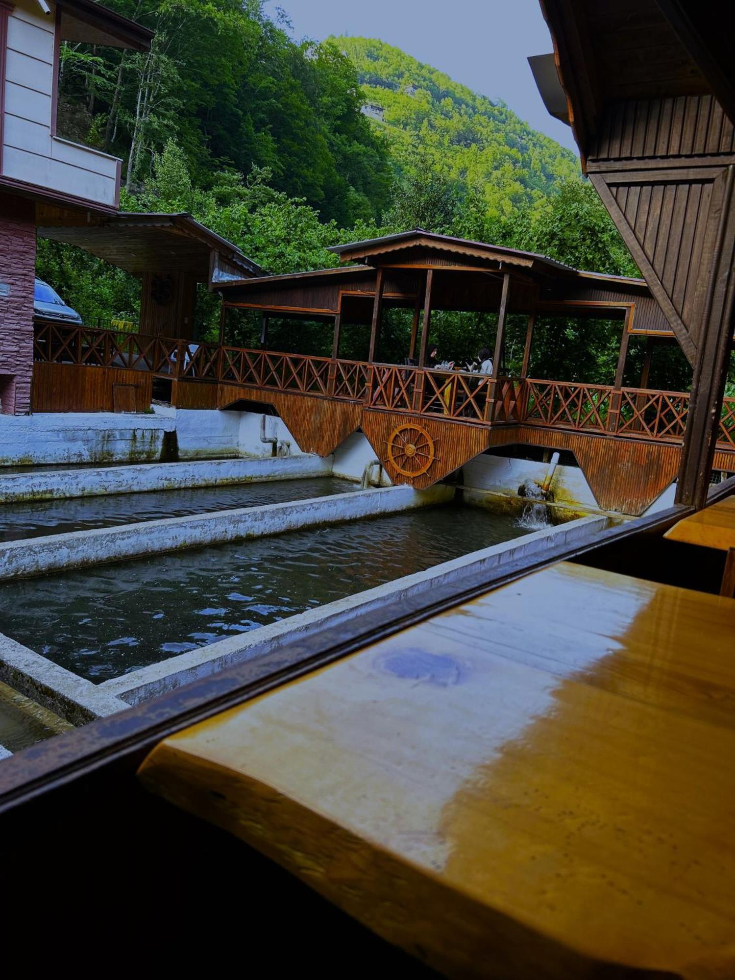 Isikli Kale Homestay Caykara