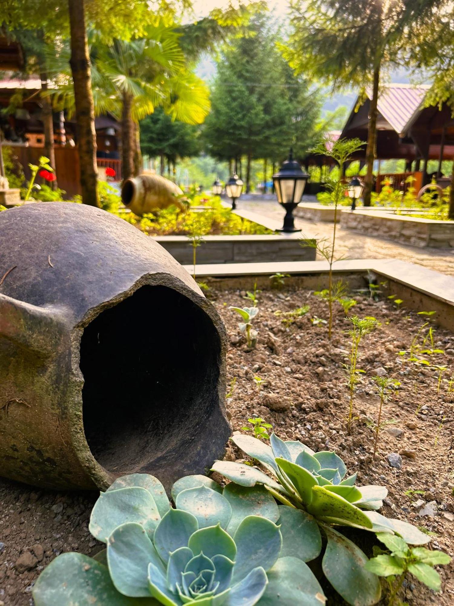 Homestay Isikli Kale Caykara