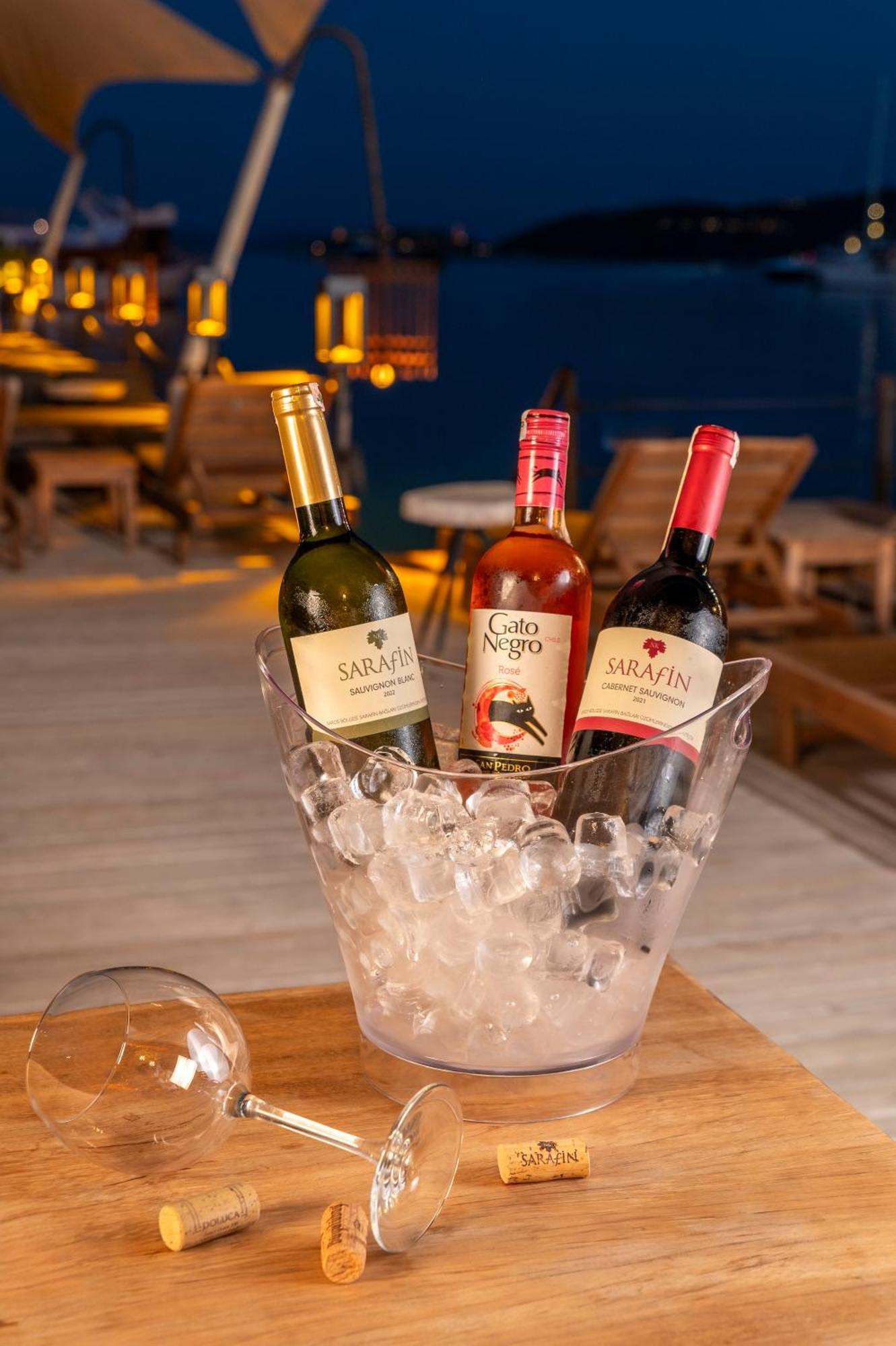 Hotel Elista &