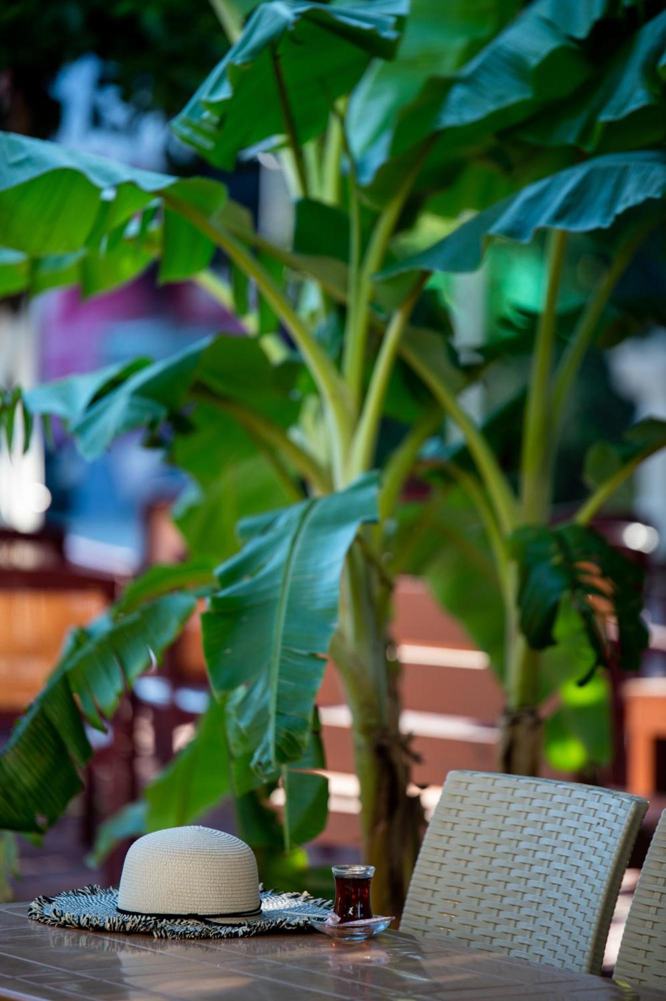 Hotel Grand Derin Beldibi (Kemer)
