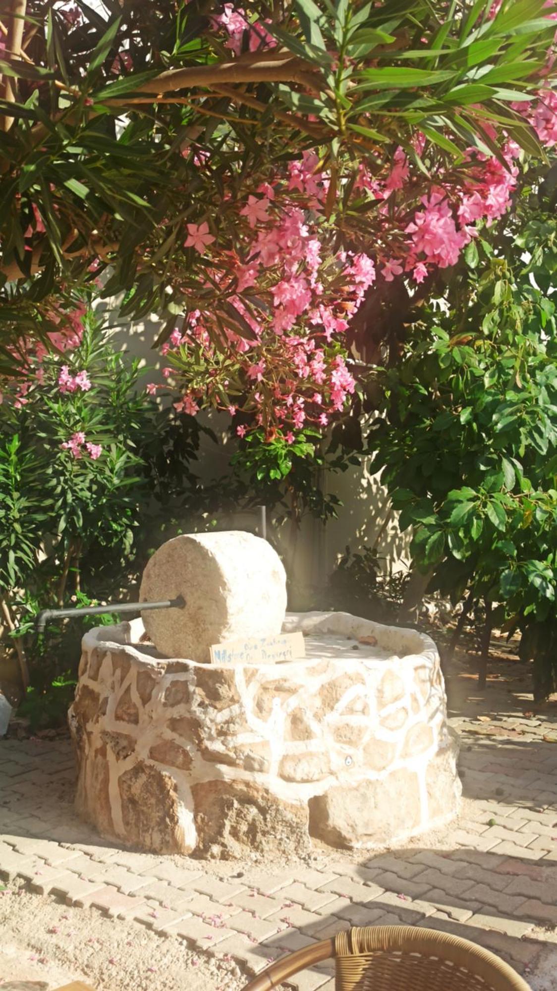 Cc's Butik 2* Oludeniz