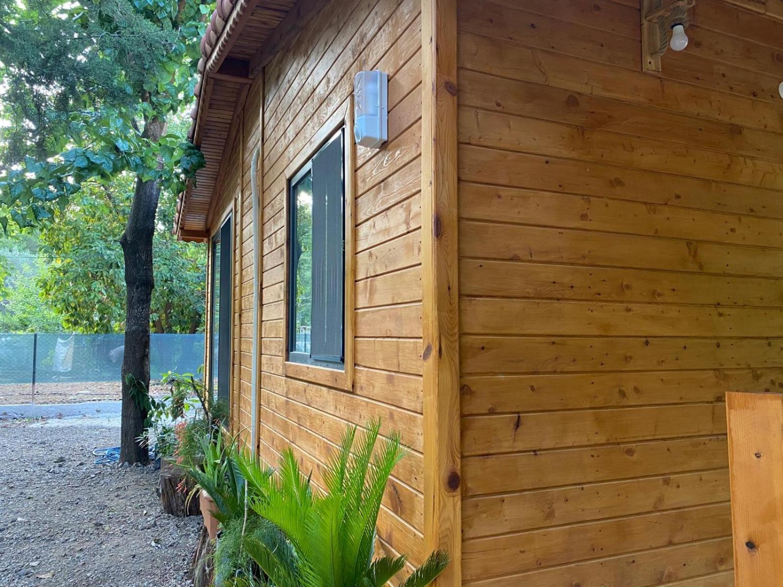 Canario Lodge *