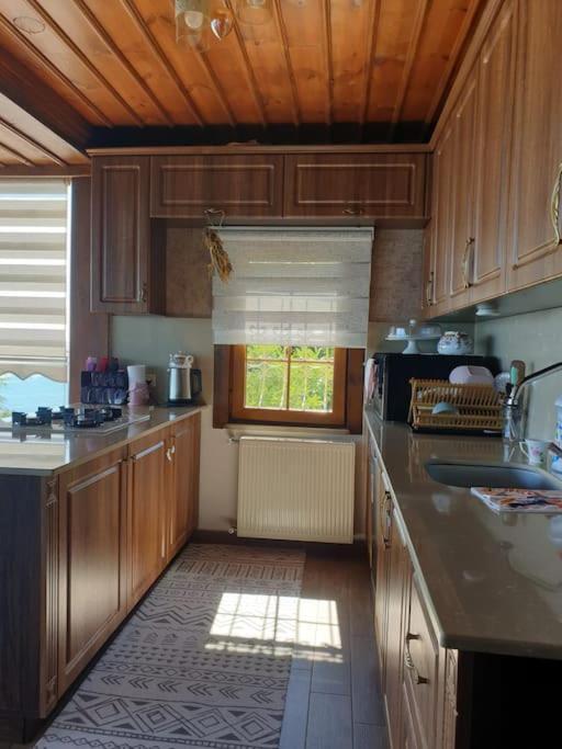 Villa Barkin Akcaabat