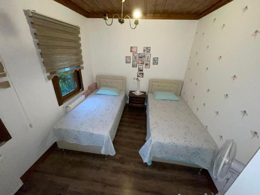 Villa Barkin *