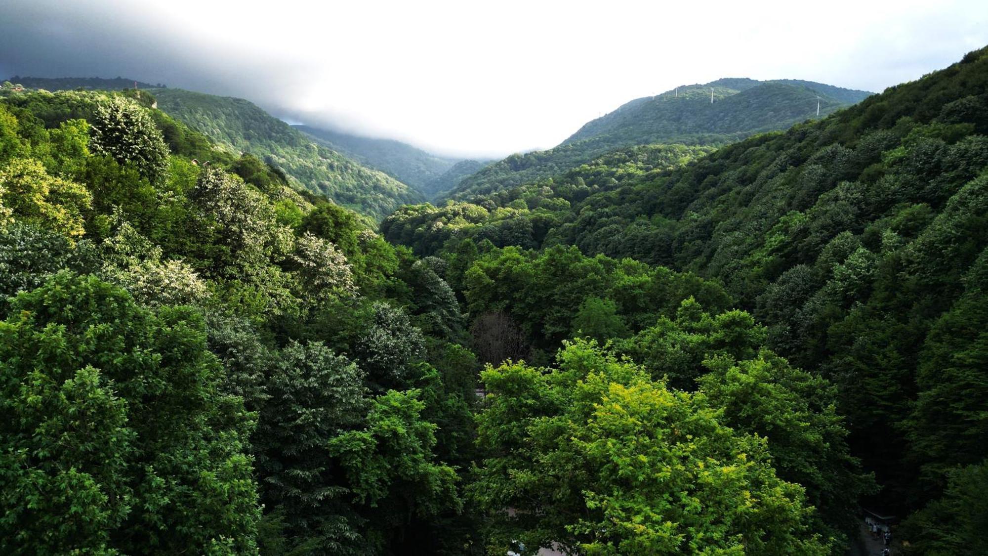 Mersu A'la * Sapanca