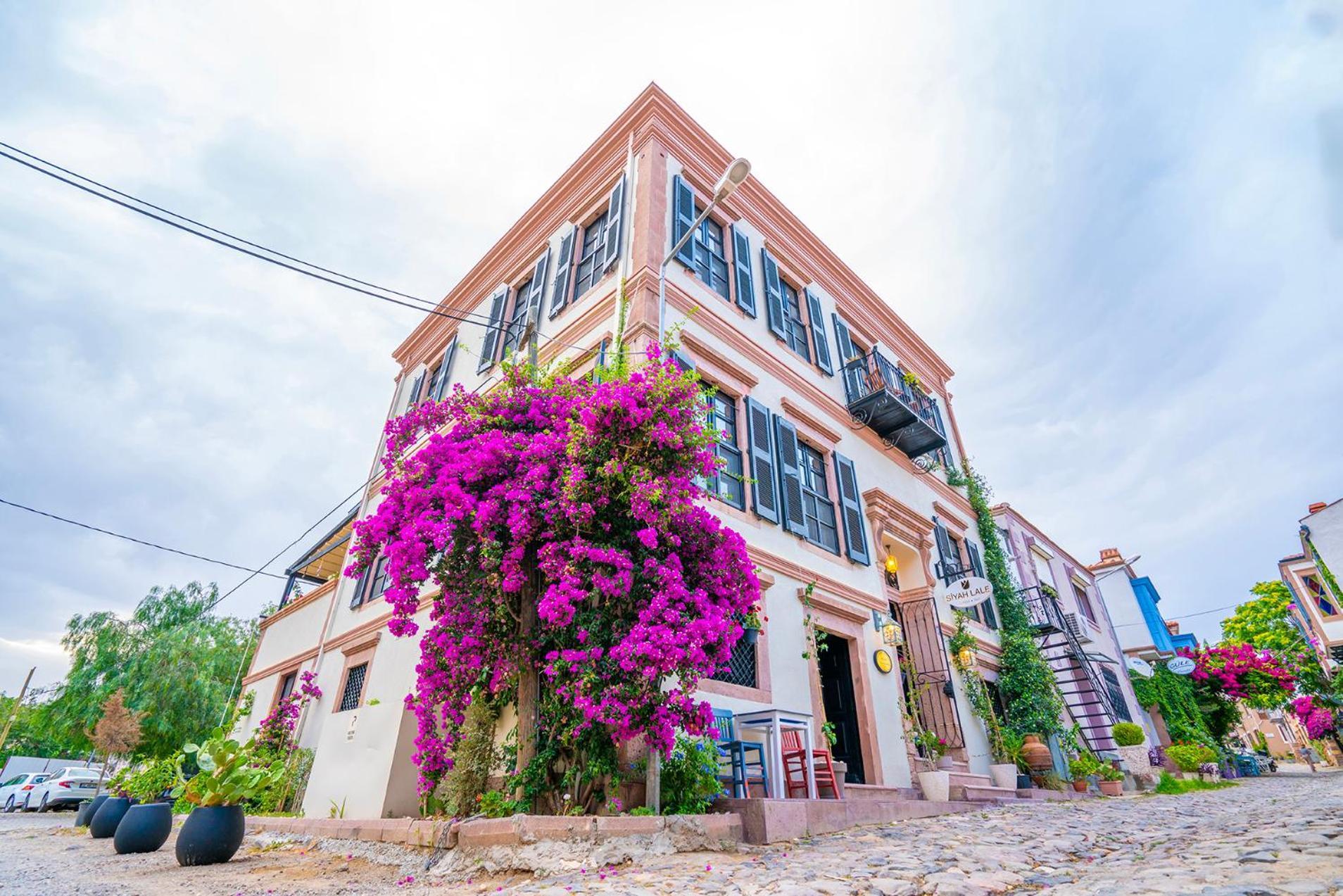 Siyah Lale Cunda 1841 (adults Only) Hotel Ayvalik