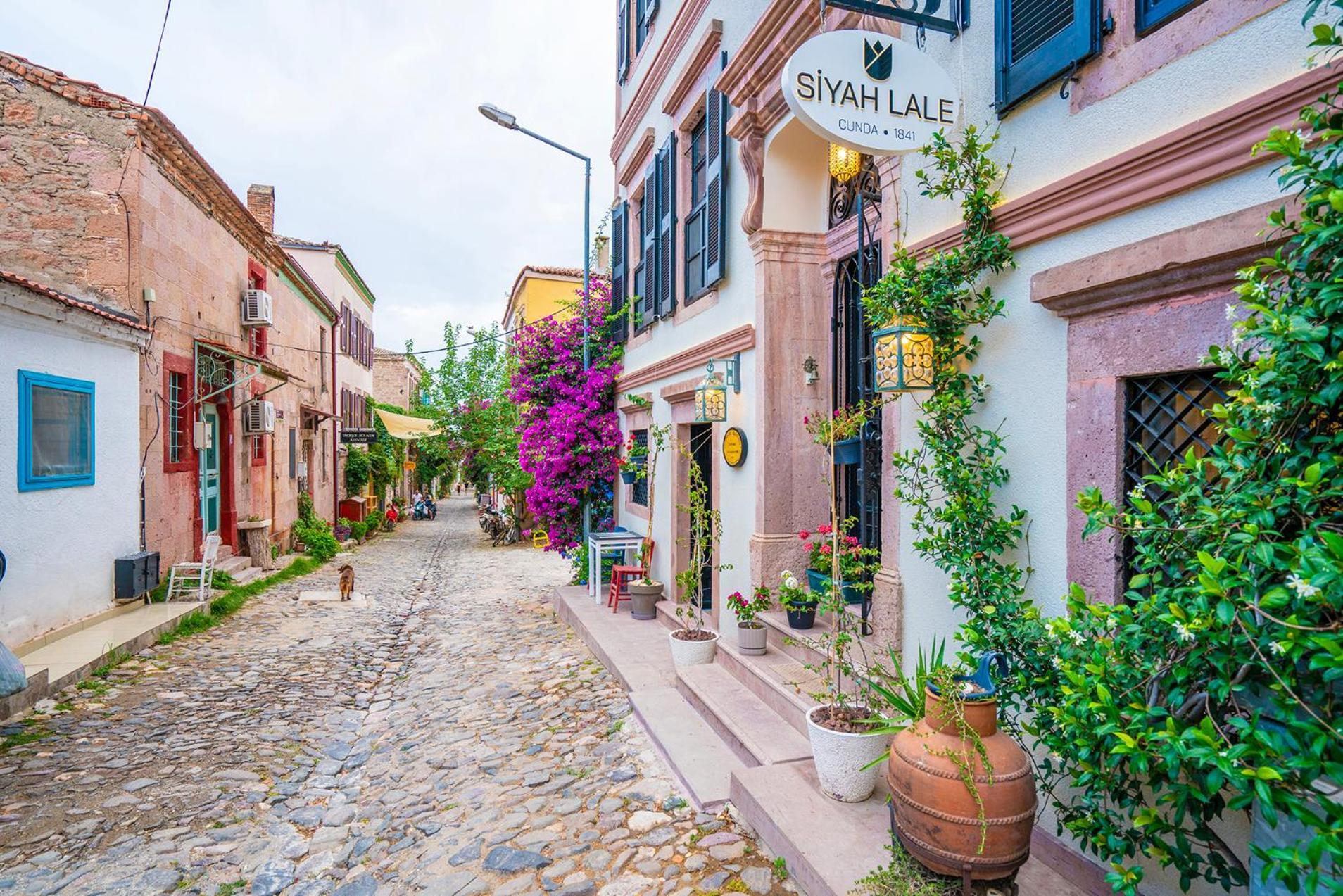 Siyah Lale Cunda 1841 (adults Only) Hotel